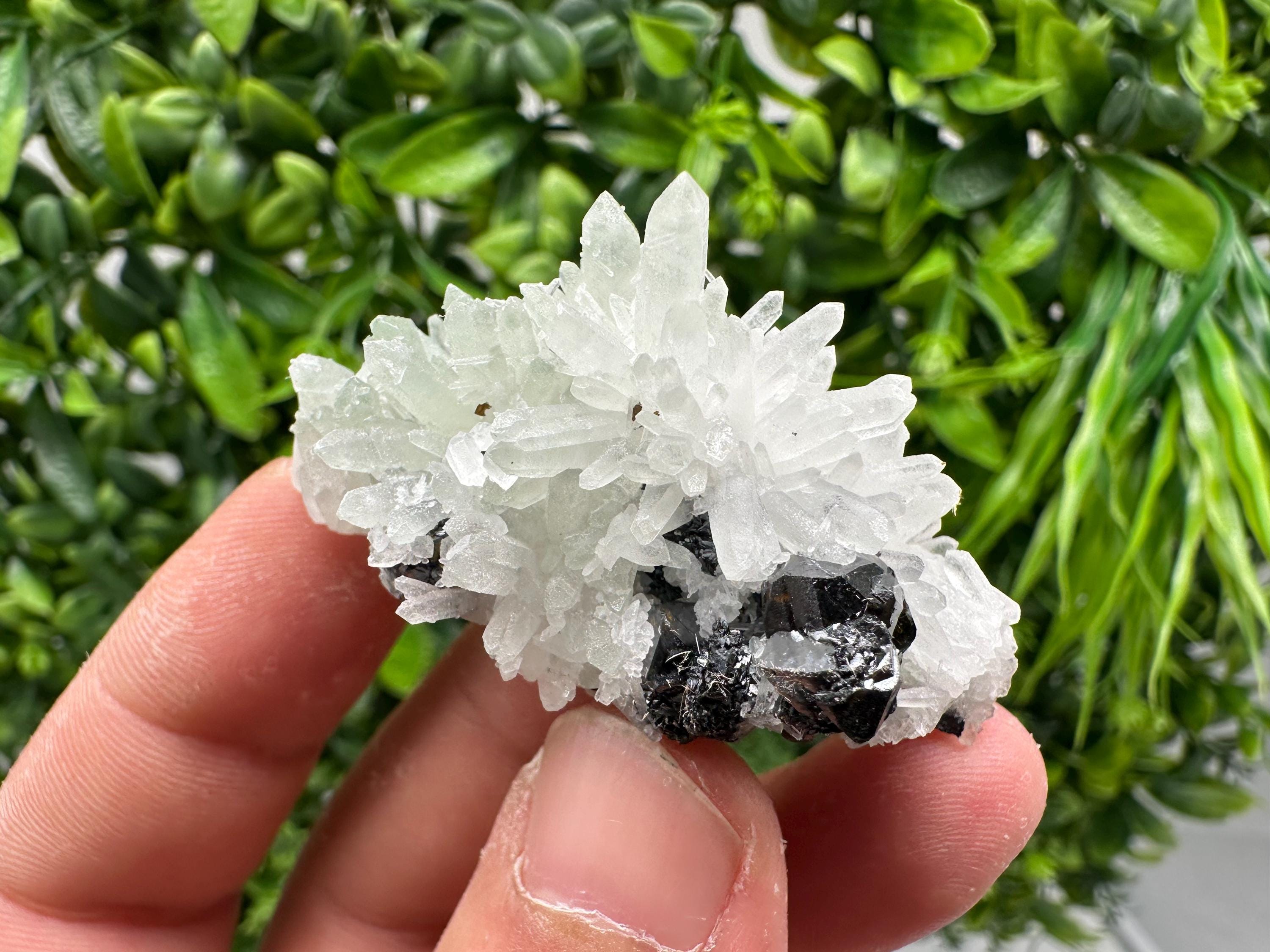 Sphalerite on Quartz, Bulgaria Mineral Specimen, Home Decor Crystal