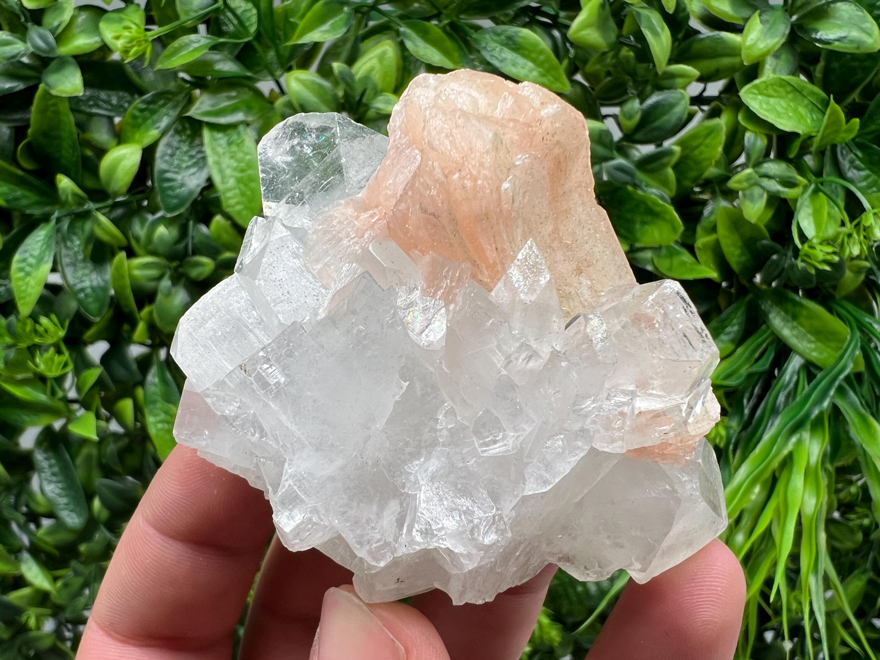 Apophyllite on Chalcedony Specimen: Natural Crystal from India