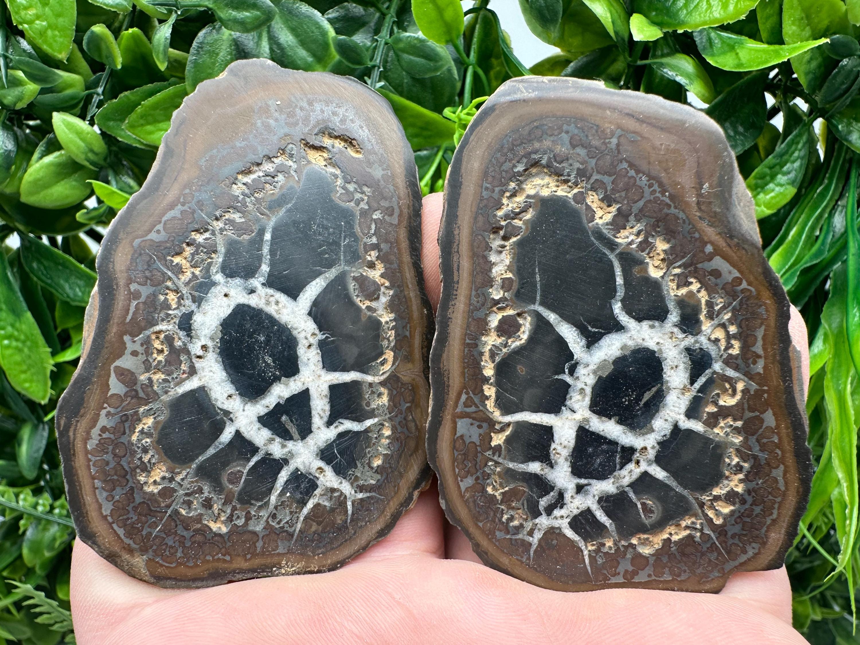 Septarian Nodule Geode Pair: Dragonstone Aragonite Limestone