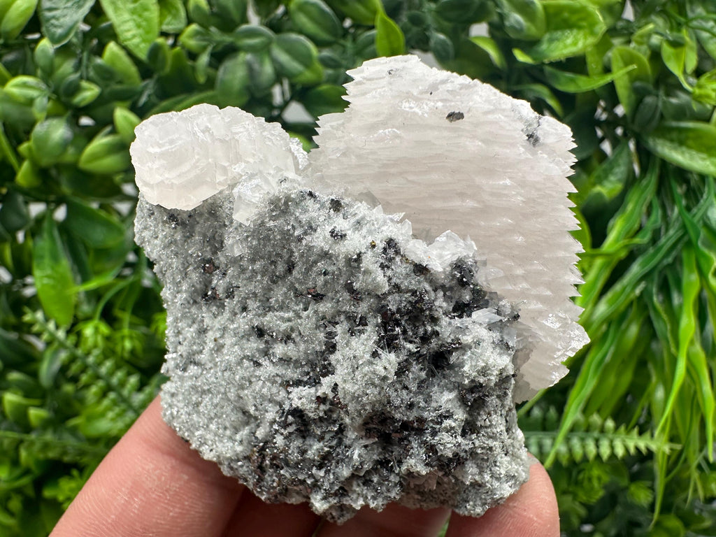 Calcite on Quartz with Sphalerite, Borieva Mine, Bulgaria