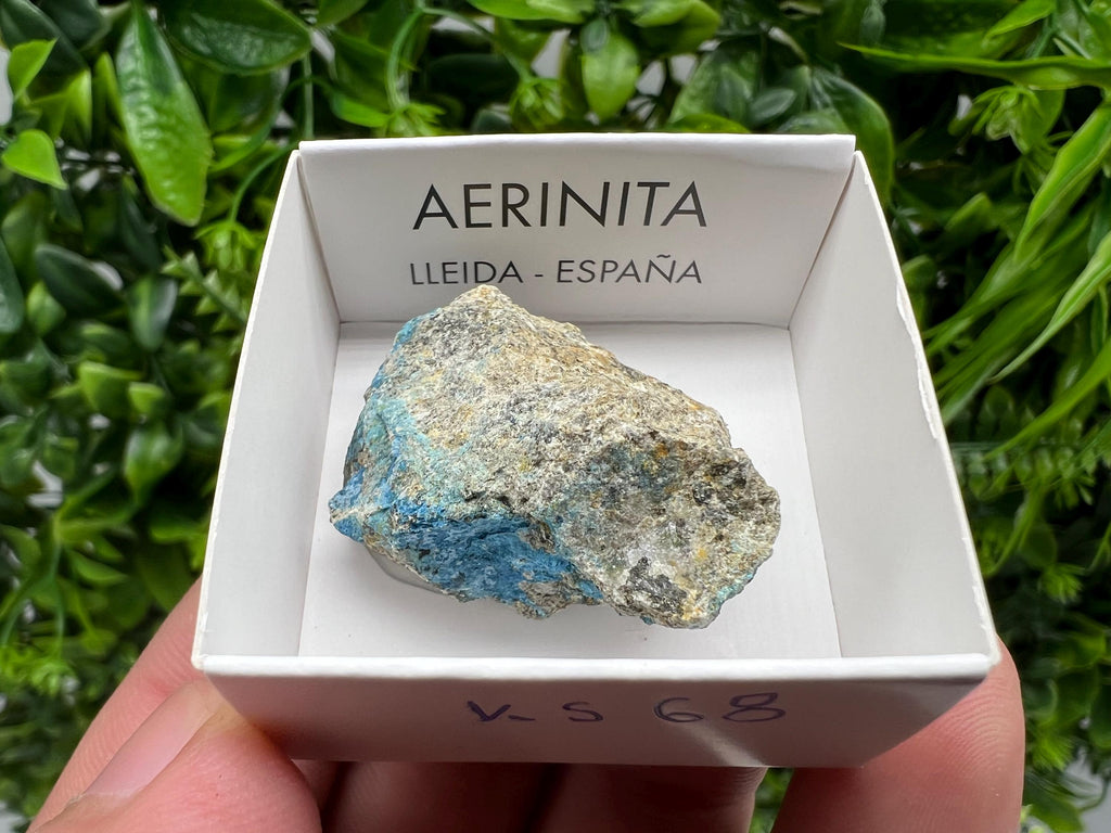 Rare Raw Aerinite Mineral Specimen: Lleida, Spain (3.5/3.5 CM)