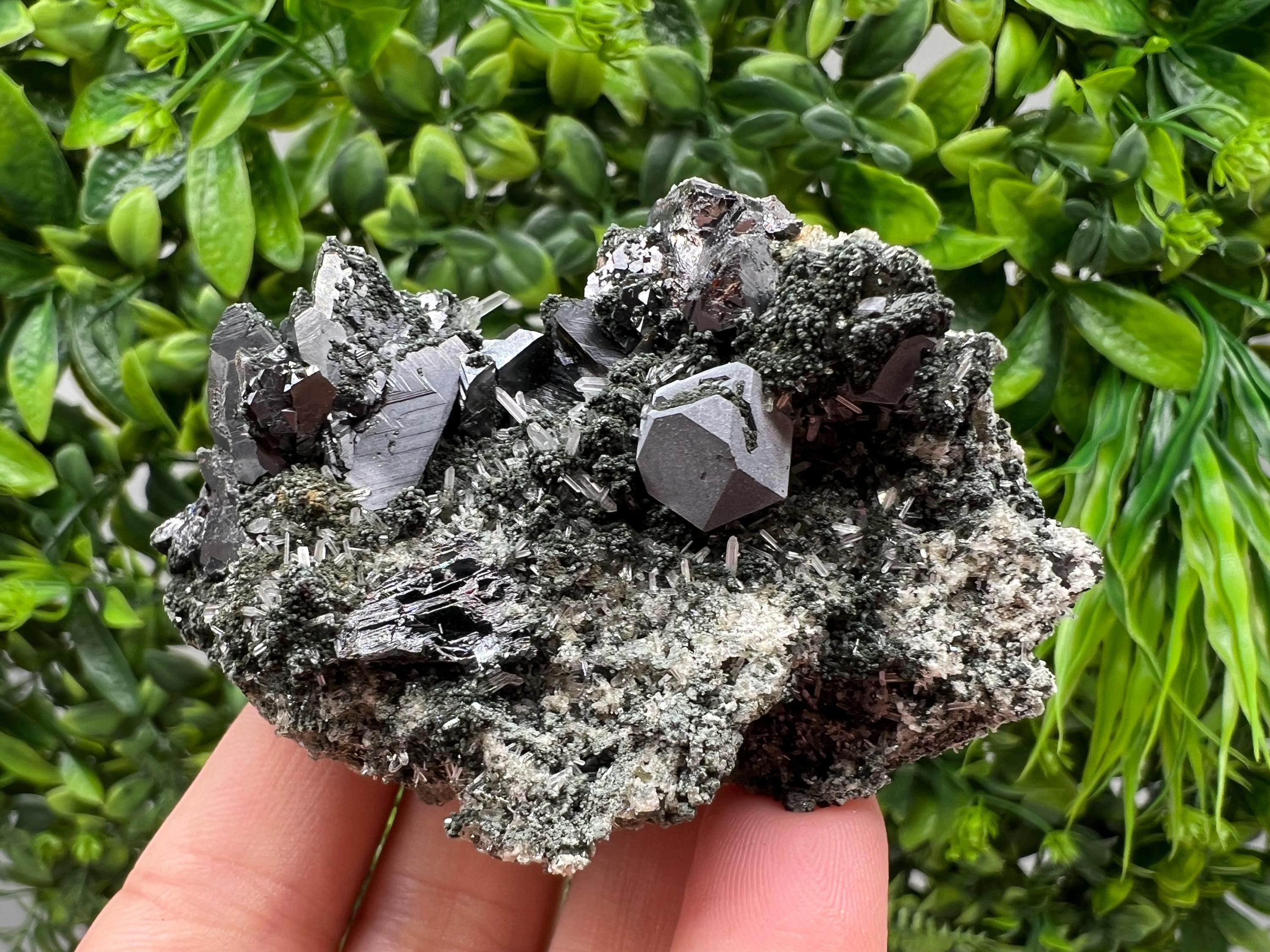Sphalerite Galena Crystal: Chlorite Mineral Specimen, Bulgaria