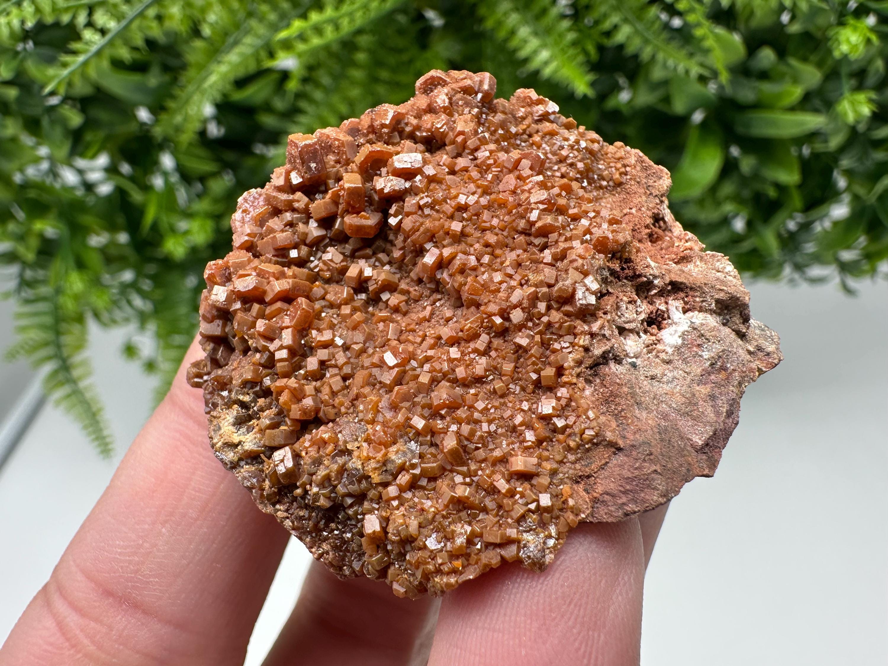 Red Vanadinite on Matrix from Marocco,crystal minerals Speciment cluster Vanadinite crystal Vanadinite Geology Vanadinite cluster minerals