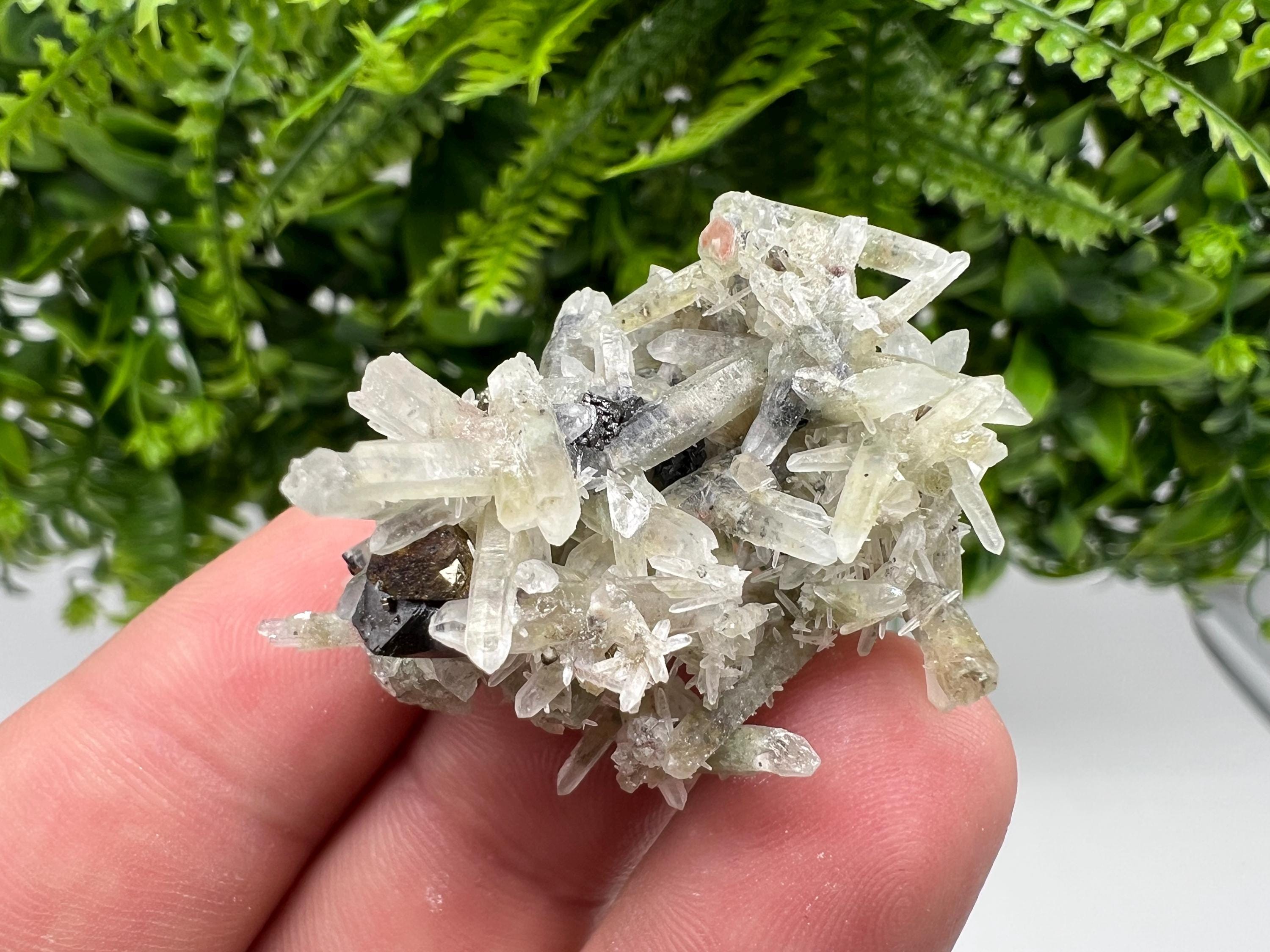 Sphalerite Chalcopyrite on Green Quartz with Hematite, Bulgaria Mineral Specimen