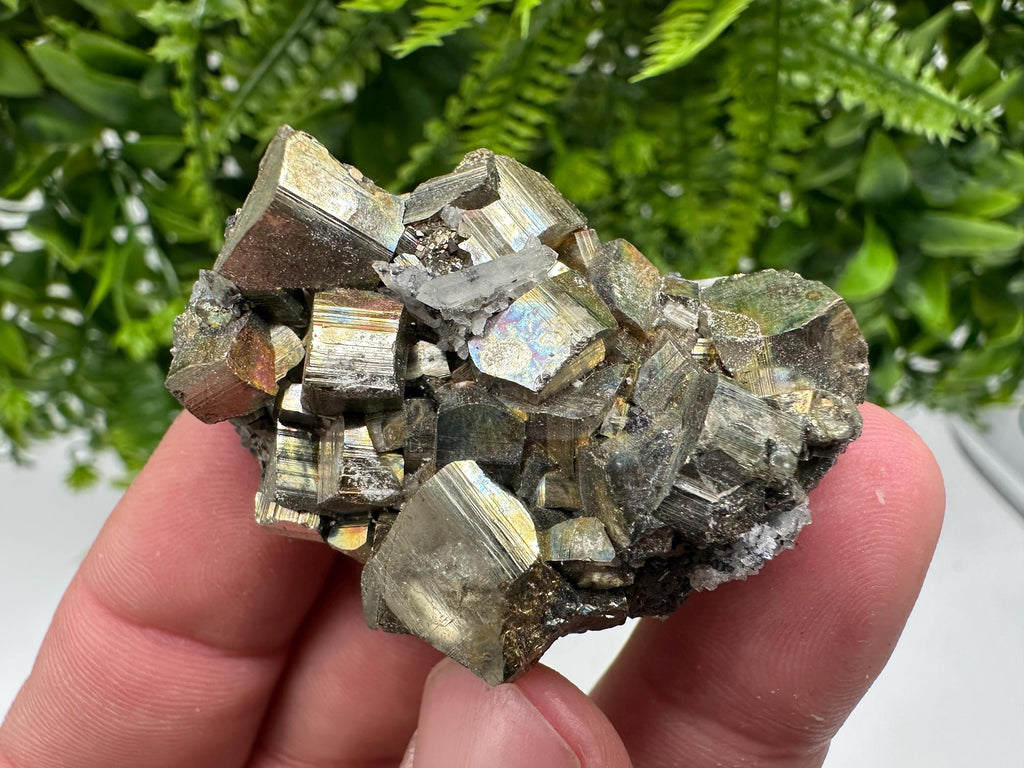 Rare Rainbow Pyrite Cluster: Borieva Mine, Bulgaria