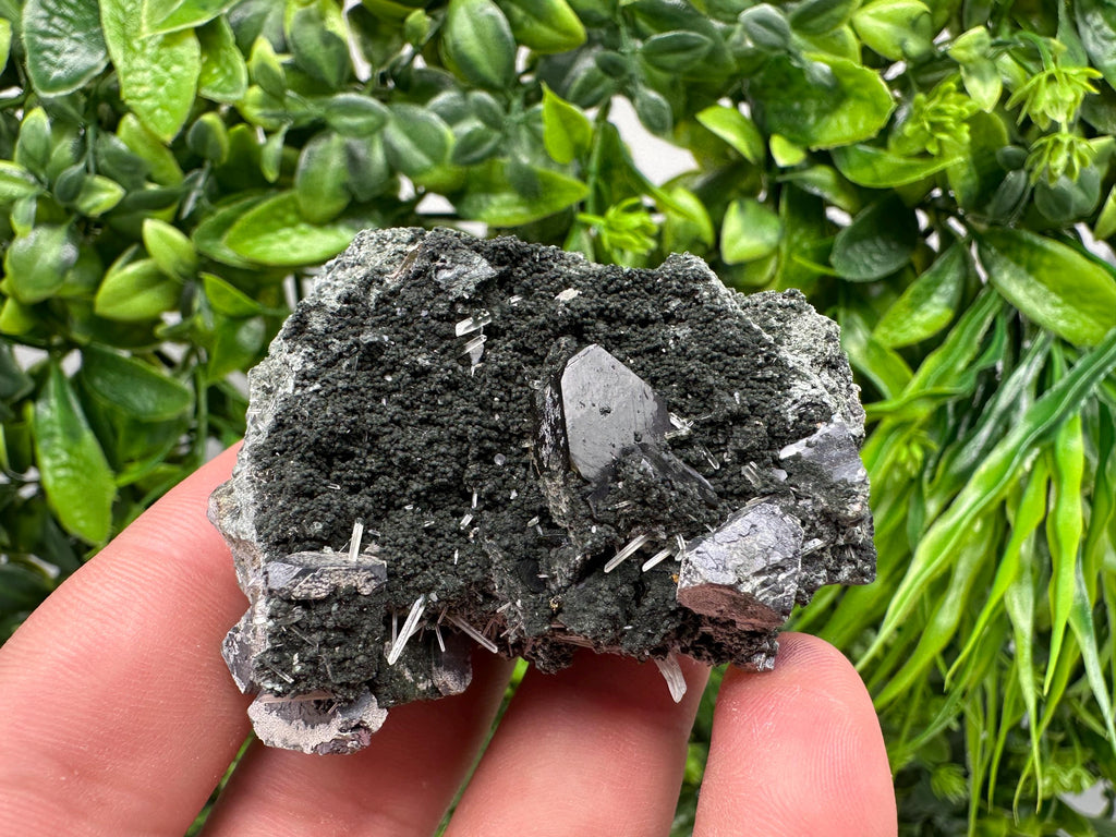 Sphalerite on Quartz, Epidote, Chlorite, Borieva Mine Mineral Specimen