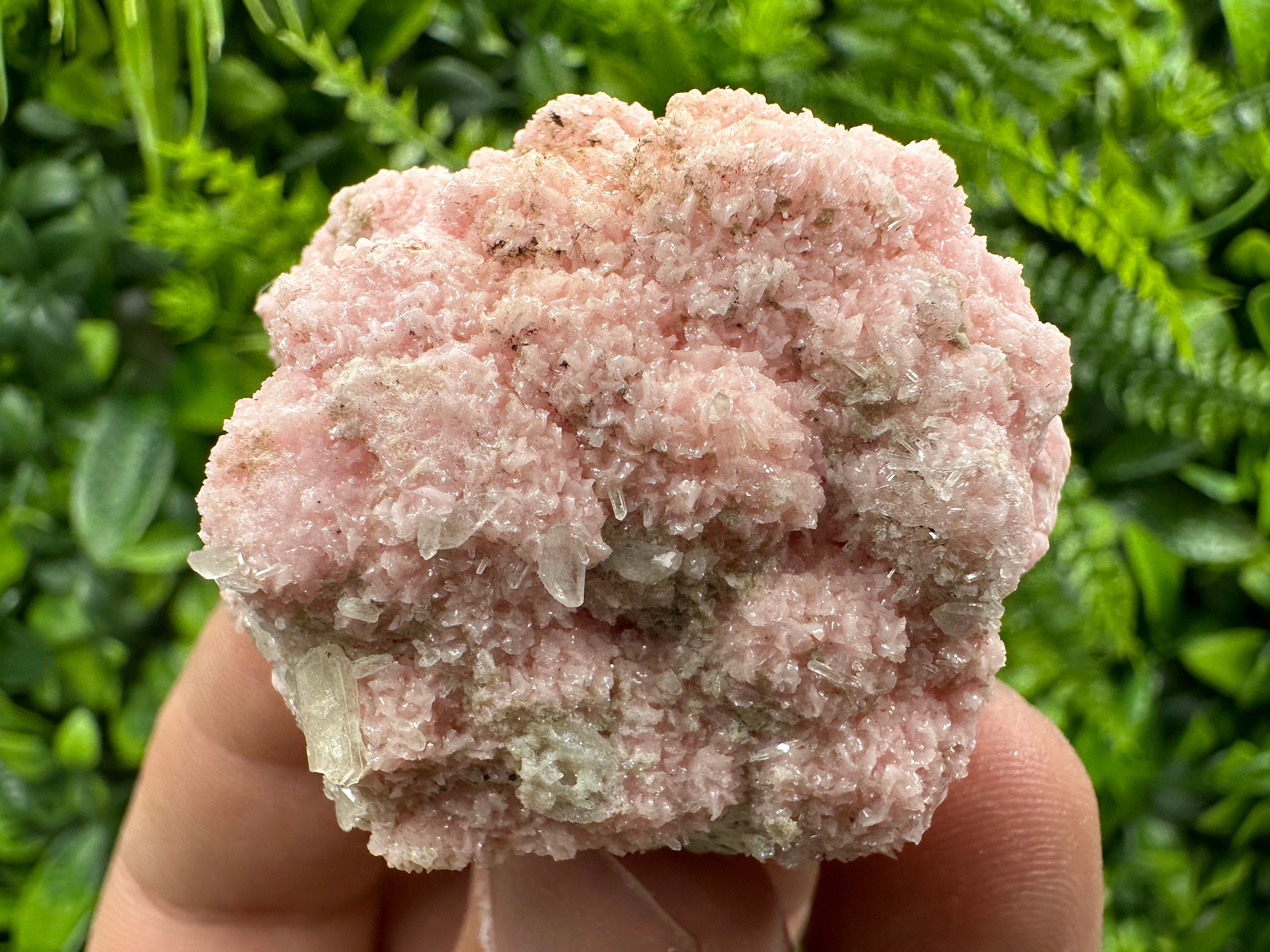 Pink Rhodochrosite Crystal: Starnica Mine, Bulgaria - Home Decor Stone