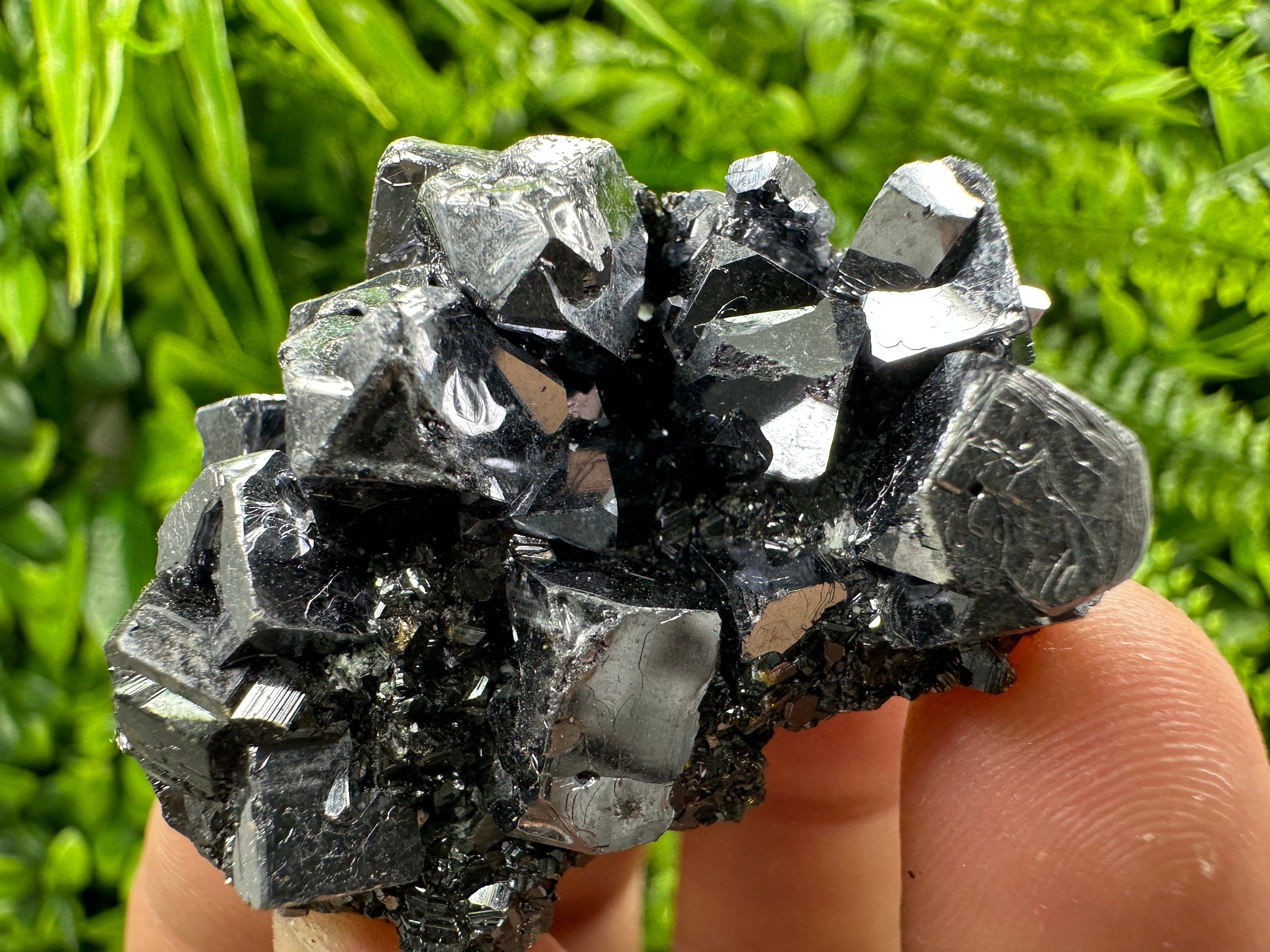 Galena on Sphalerite Specimen - Borieva Mine, Bulgaria