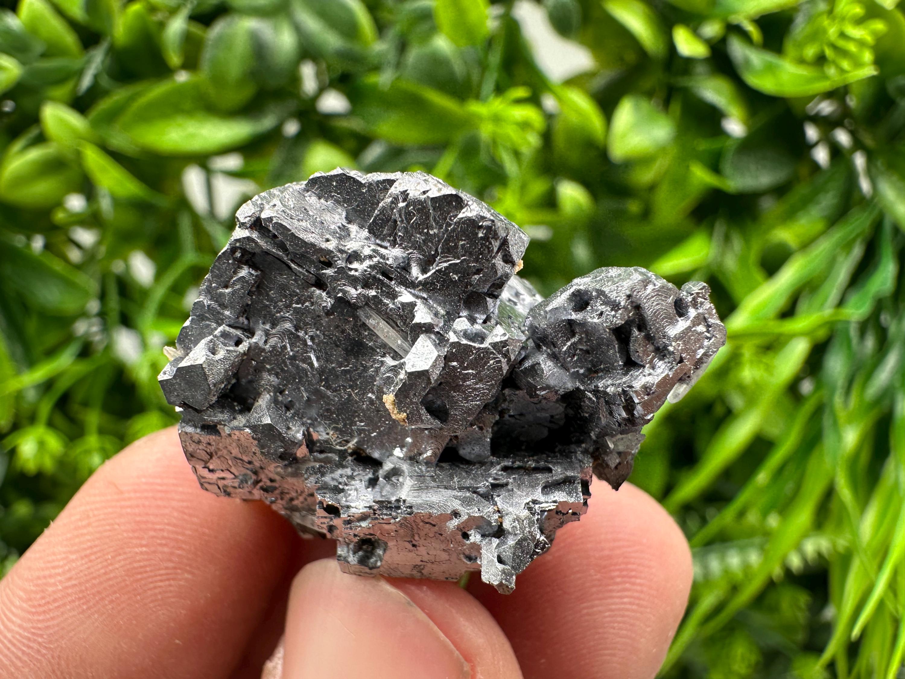 Skeletal Galena on Sphalerite Crystal Mineral Specimen