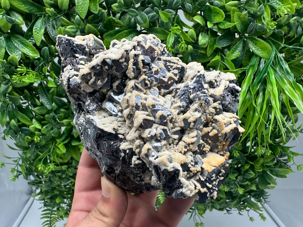 Skeletal Galena with Dolomite: Krushev Dol Mine, Bulgaria
