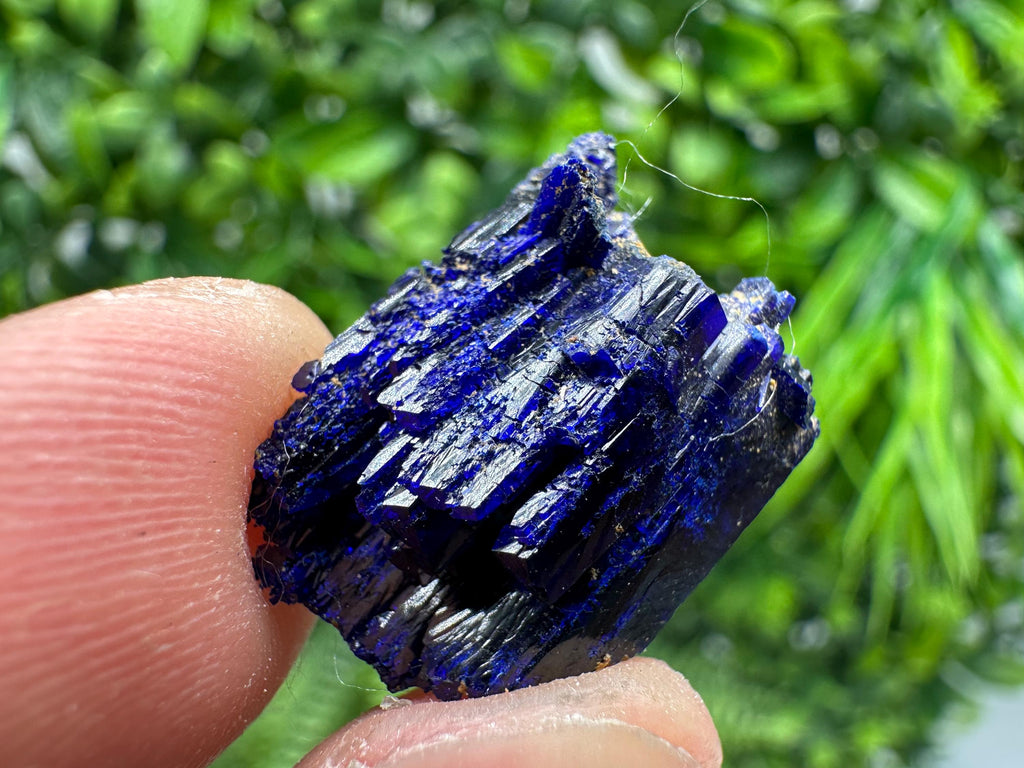 Crystallized Azurite-Kerrouchen,Morocco-Blue Azurite Specimen-High Quality Blue Azurite-Azurite Mineral Specimen, gemmy,lustrous of Azurite