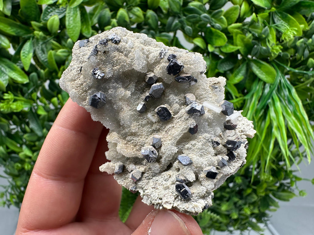 Galena on Chalcedony Mineral Specimen: Krushev dol Mine, Bulgaria