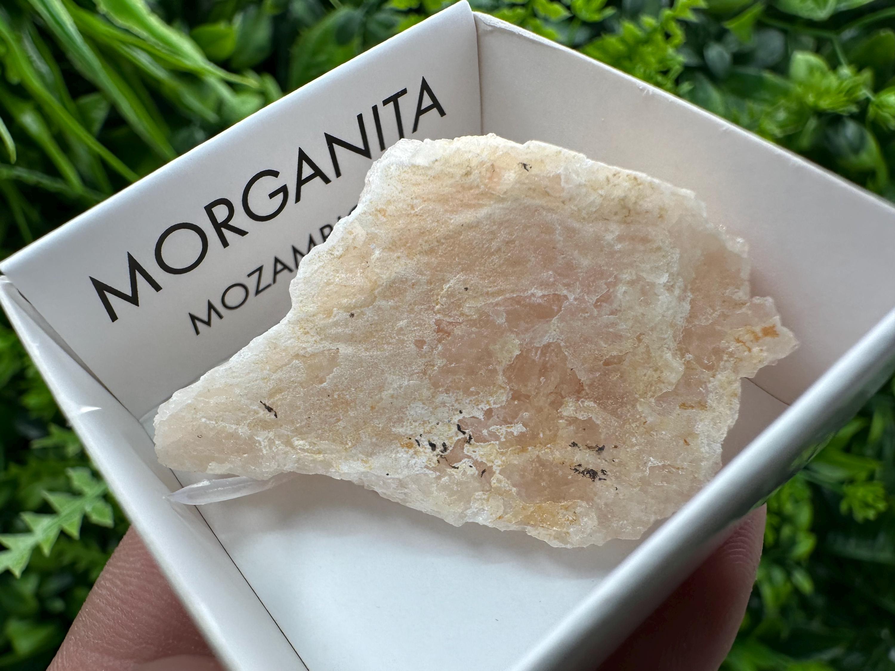 Rare Raw Morganite Specimen: Mozambique Crystal Collection (5/2.5 cm)