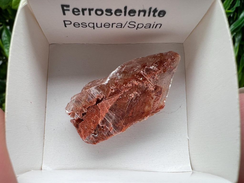 Rare Ferroselenite Crystal Mineral Specimen, Spain (3.4/1.8 cm)