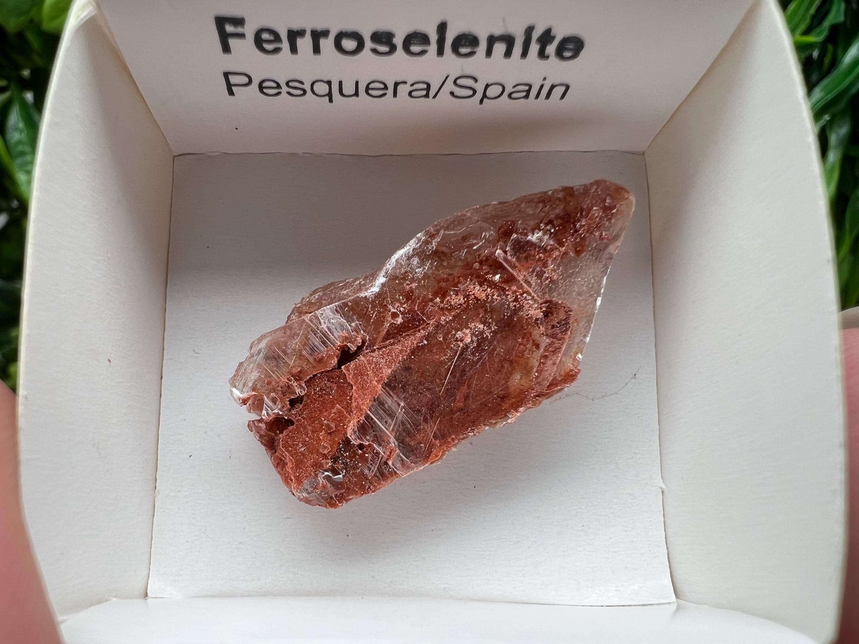 Rare Ferroselenite Crystal Mineral Specimen, Spain (3.4/1.8 cm)