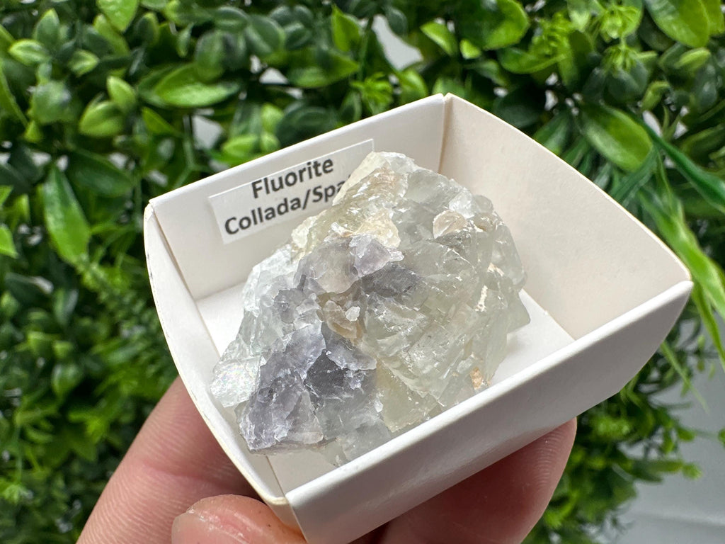 Green Raw Fluorite Cluster: Vintage Meditation Stone (4.5/3.5)