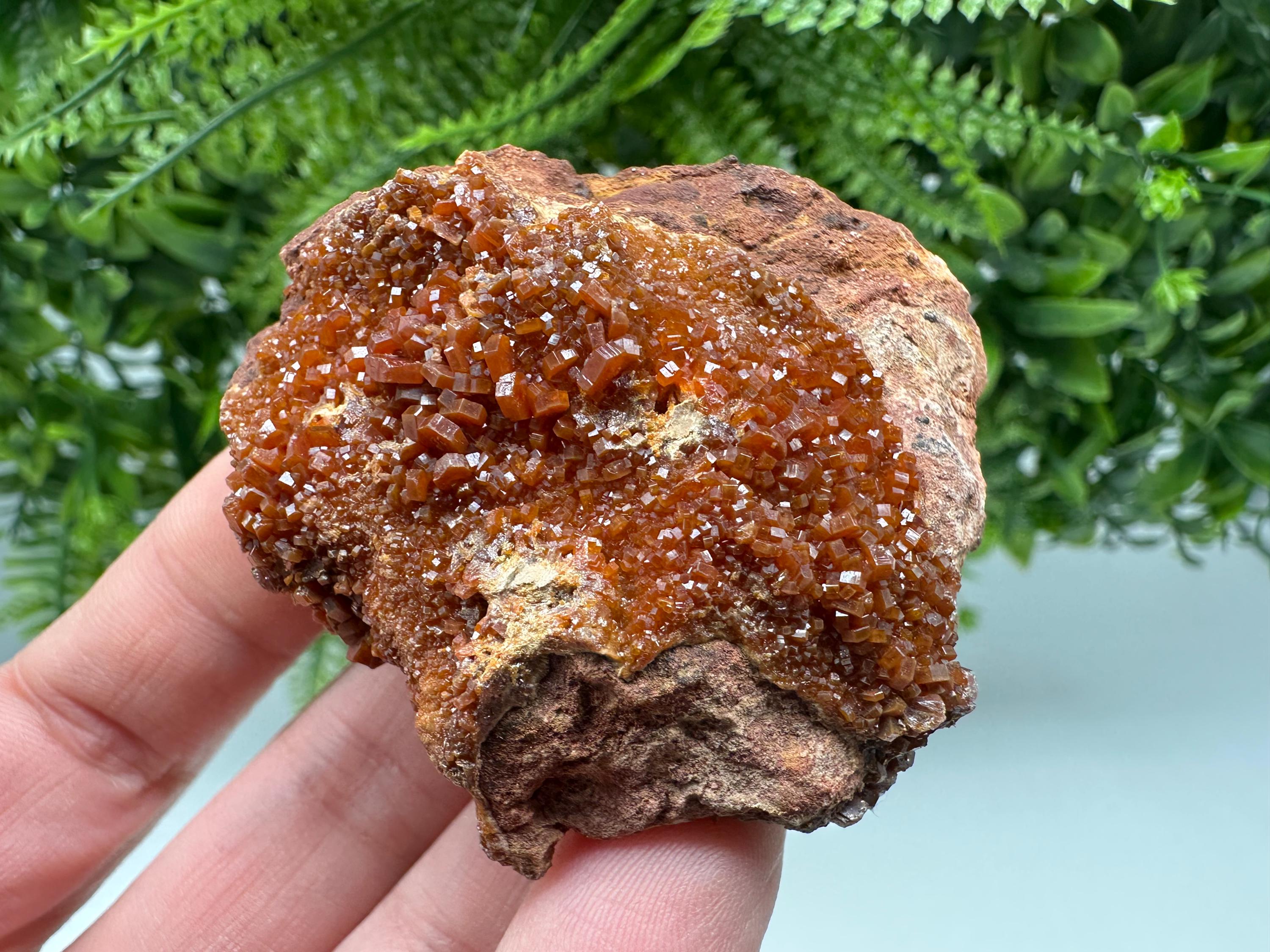Red Vanadinite on Matrix from Marocco,crystal minerals Speciment cluster Vanadinite crystal Vanadinite Geology Vanadinite cluster minerals