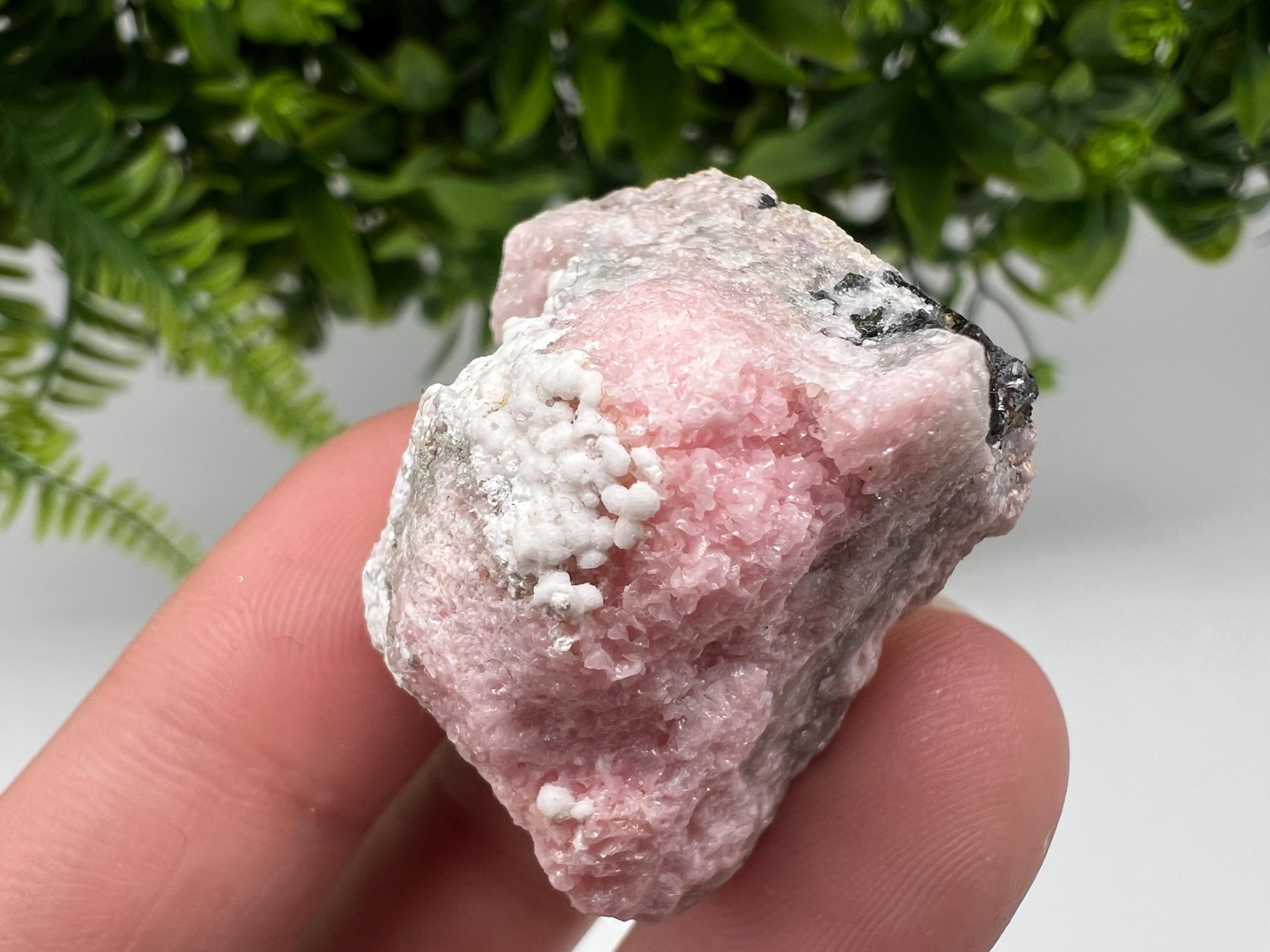 RARE Rhodochrosite with Calcite, Starnica Mine, Bulgaria