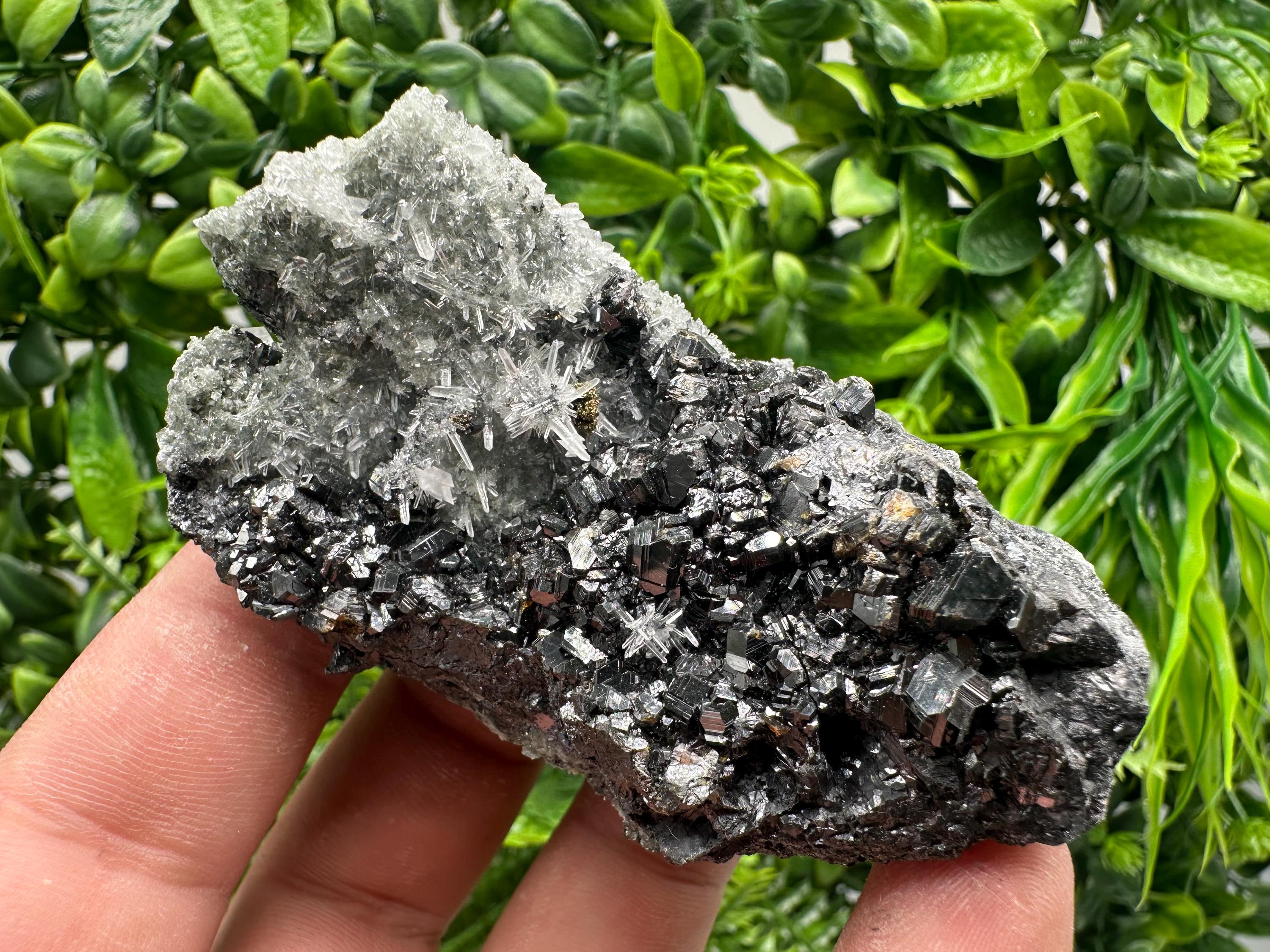 Sphalerite on Green Quartz, Madan Bulgaria Mineral Specimen