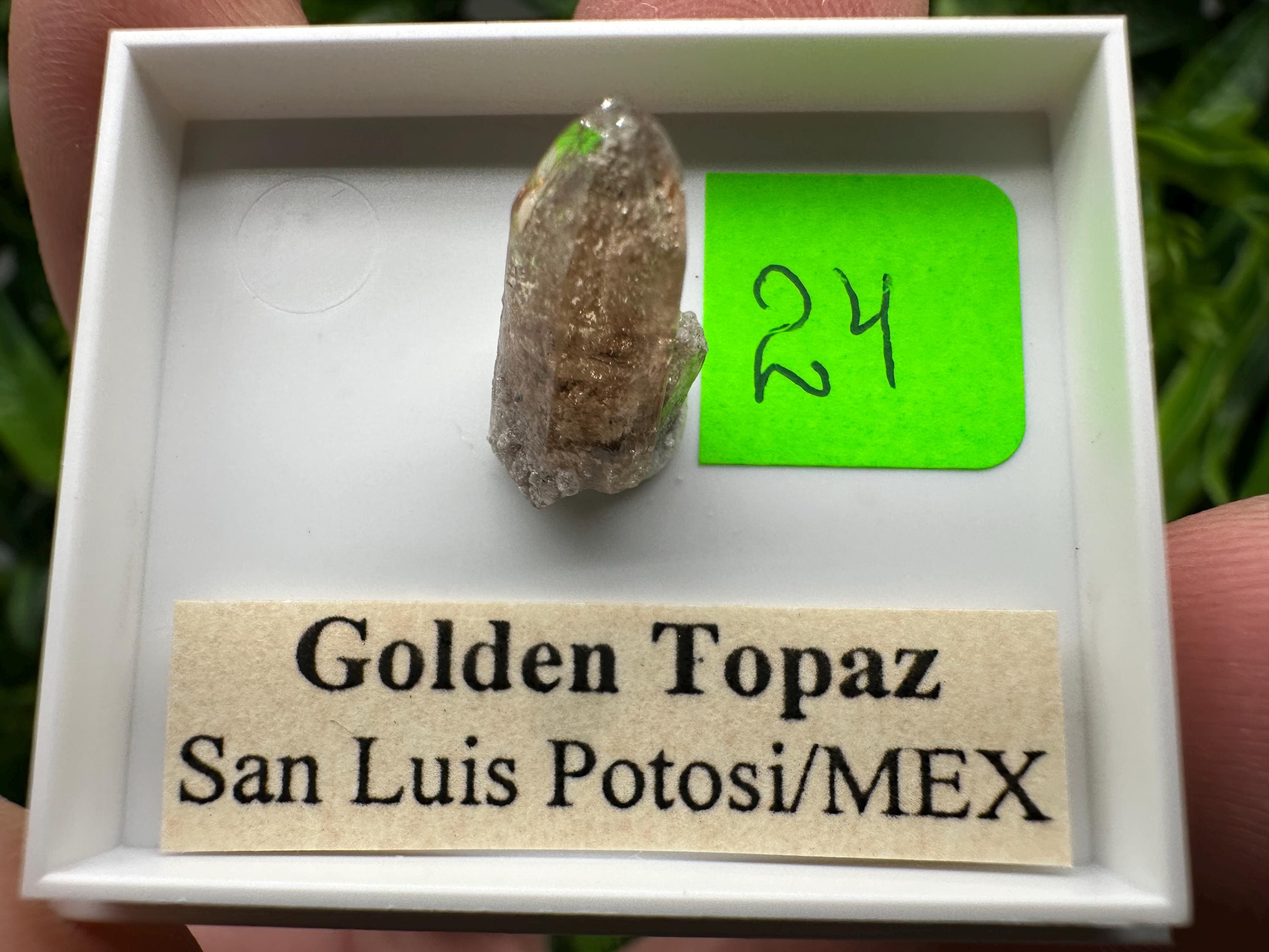 Golden Topaz Crystal, Mineral Specimen from Mexico
