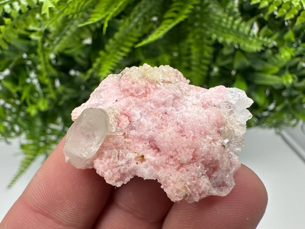 Rhodochrosite on Quartz: Pink Mineral Specimen, Starnica Mine