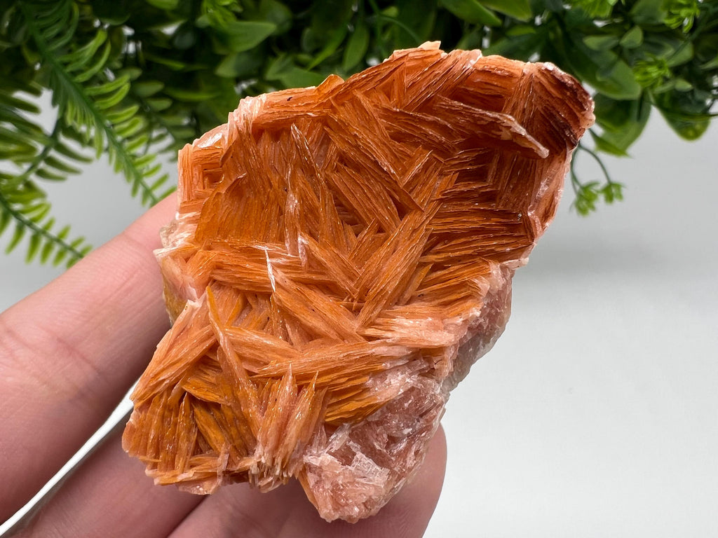 Wonderful Baryte with Cerussite on Galena from Morocco,Crystal, Mineral,Specimen,Cluster,Crystals,Barite Crystal,Cerussite Crystal,Specimen