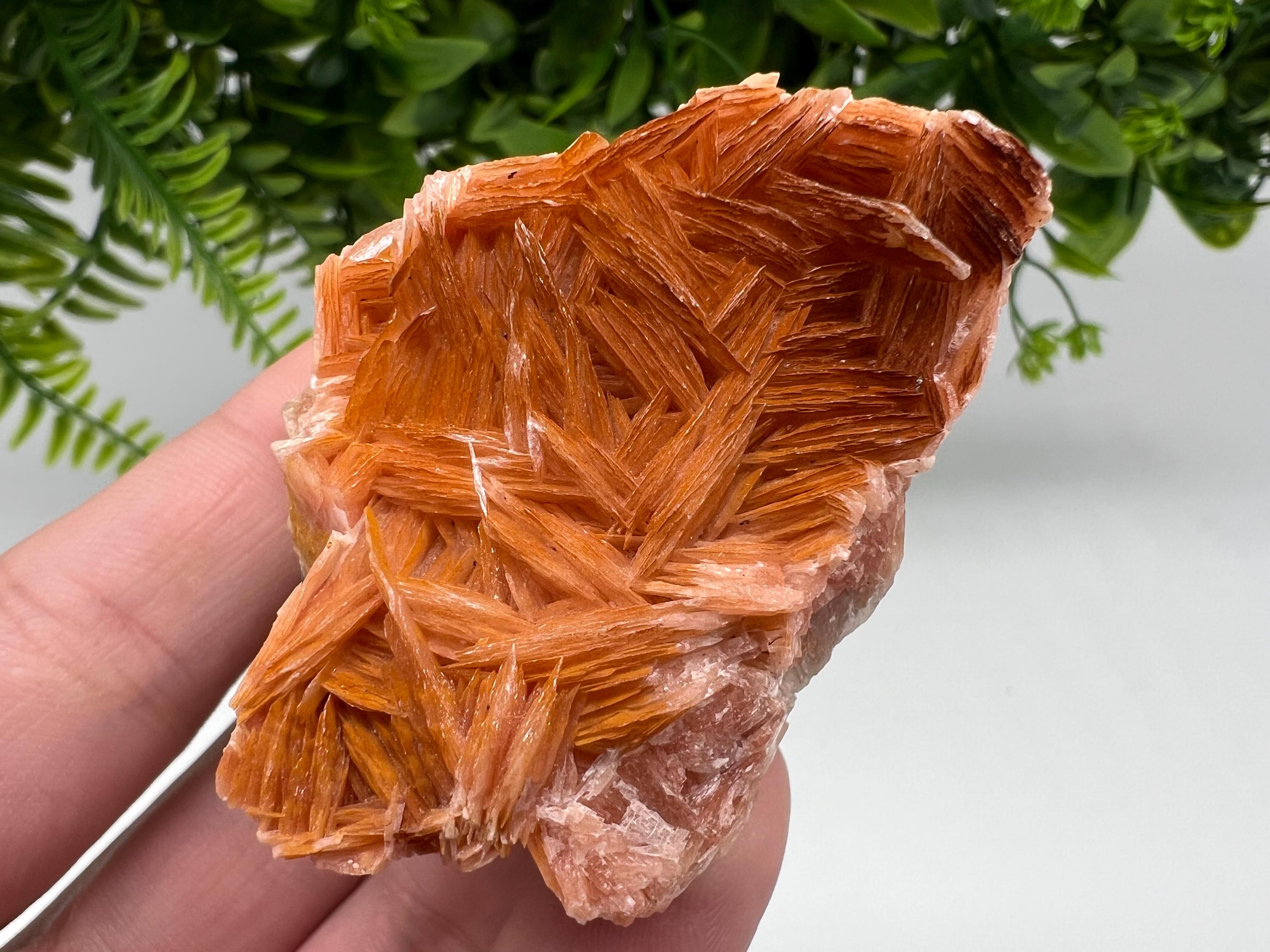 Wonderful Baryte with Cerussite on Galena from Morocco,Crystal, Mineral,Specimen,Cluster,Crystals,Barite Crystal,Cerussite Crystal,Specimen