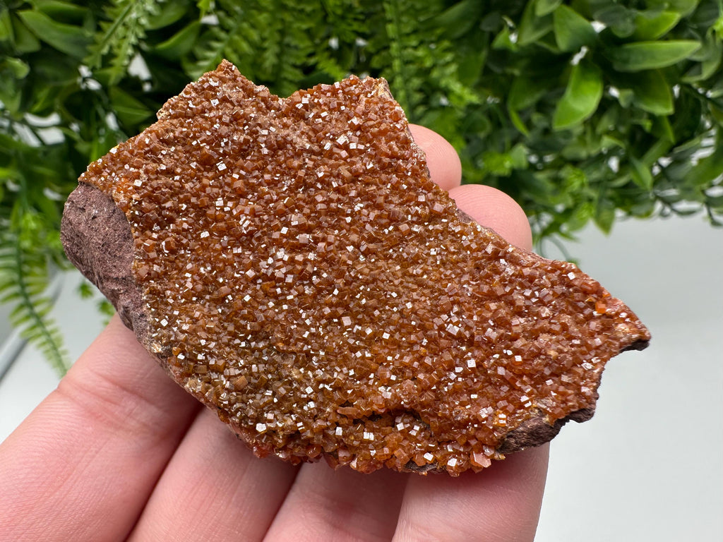 Red Vanadinite on Matrix from Marocco,crystal minerals Speciment cluster Vanadinite crystal Vanadinite Geology Vanadinite cluster minerals