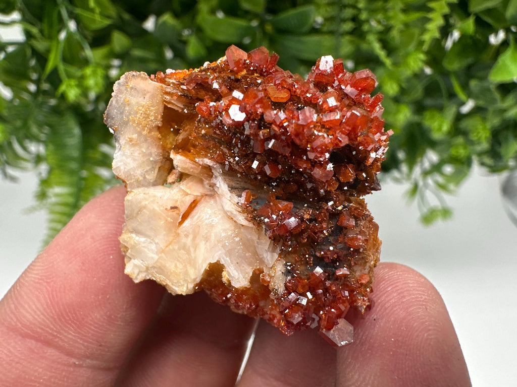 Red Vanadinite on Barite from Marocco,crystal minerals Speciment cluster Vanadinite crystal Vanadinite Geology Vanadinite cluster minerals