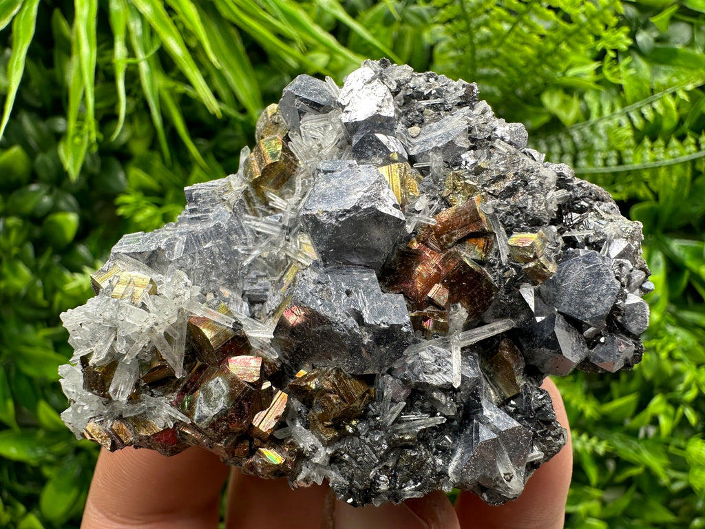 Red Pyrite, Galena, Sphalerite & Quartz Crystal Cluster - Borieva Mine