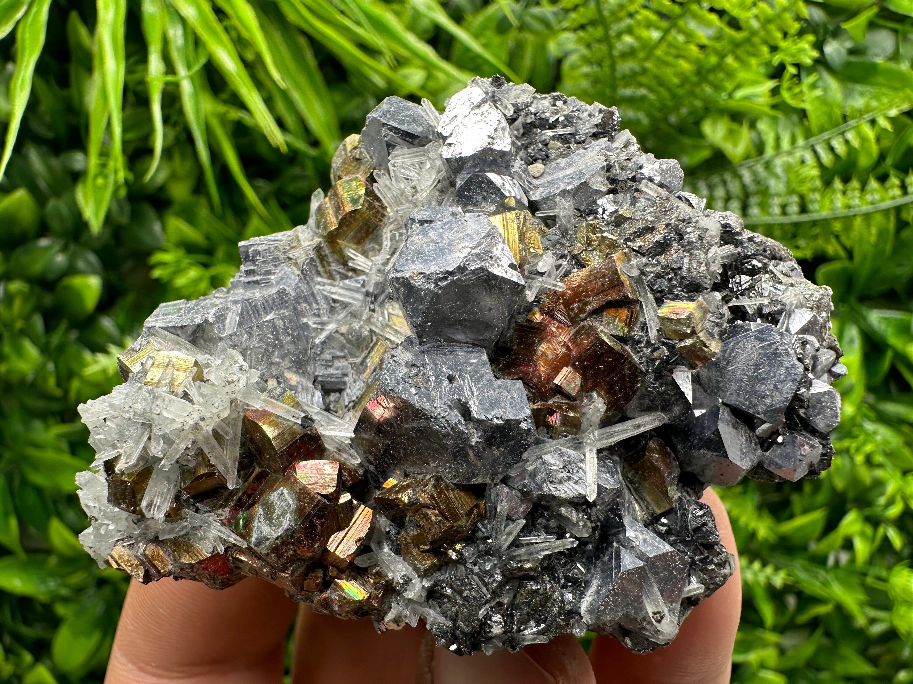 Red Pyrite, Galena, Sphalerite & Quartz Crystal Cluster - Borieva Mine