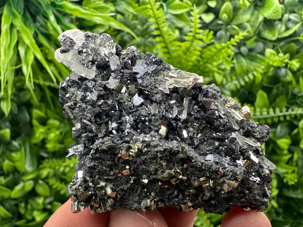 Sphalerite on Quartz with Pyrite, Borieva Mine Mineral Specimen