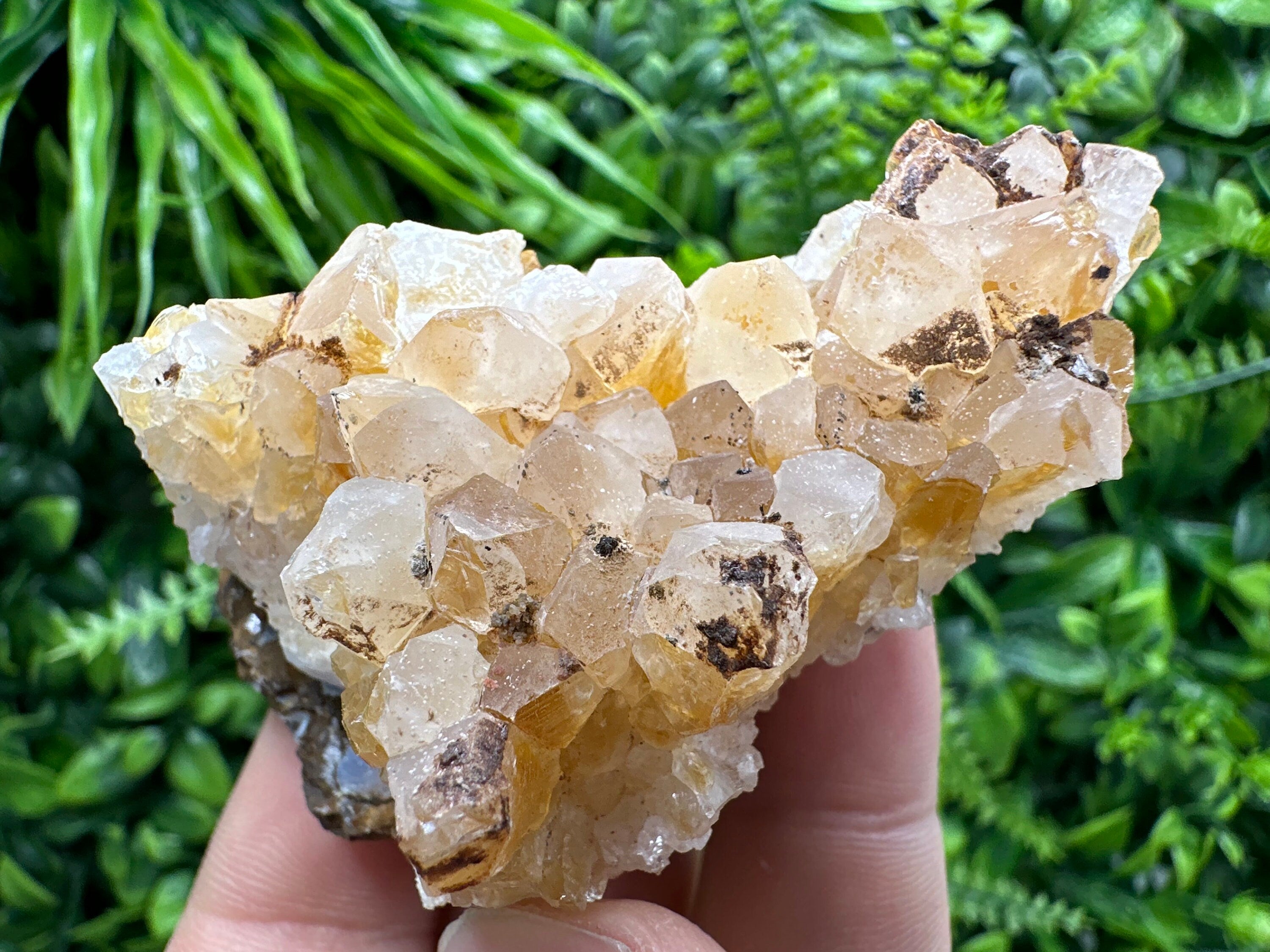 Citrine Crystal Cluster with Hematite Inclusions - Brazil