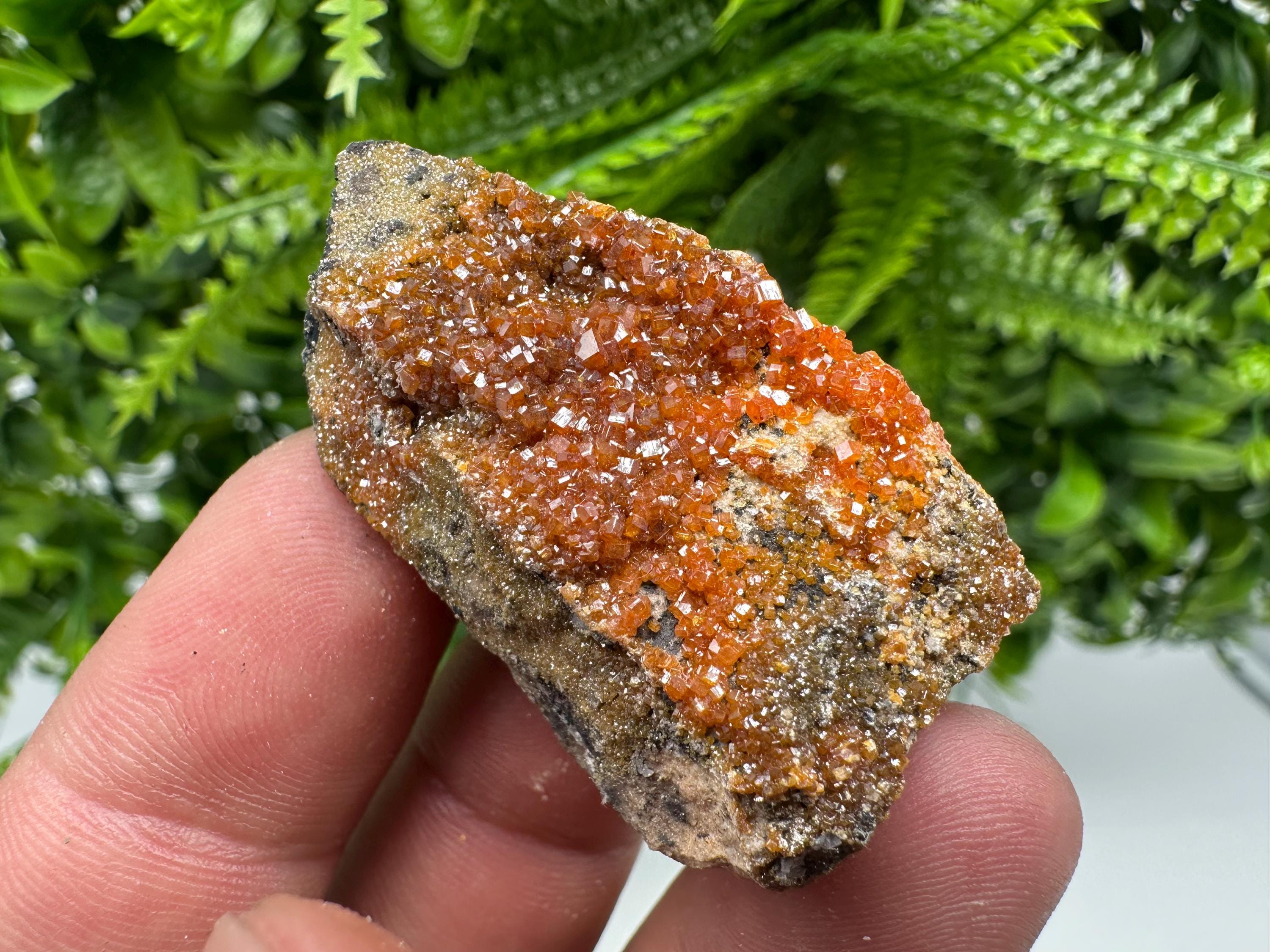 Red Vanadinite Crystal Cluster on Matrix, Morocco Mineral Specimen