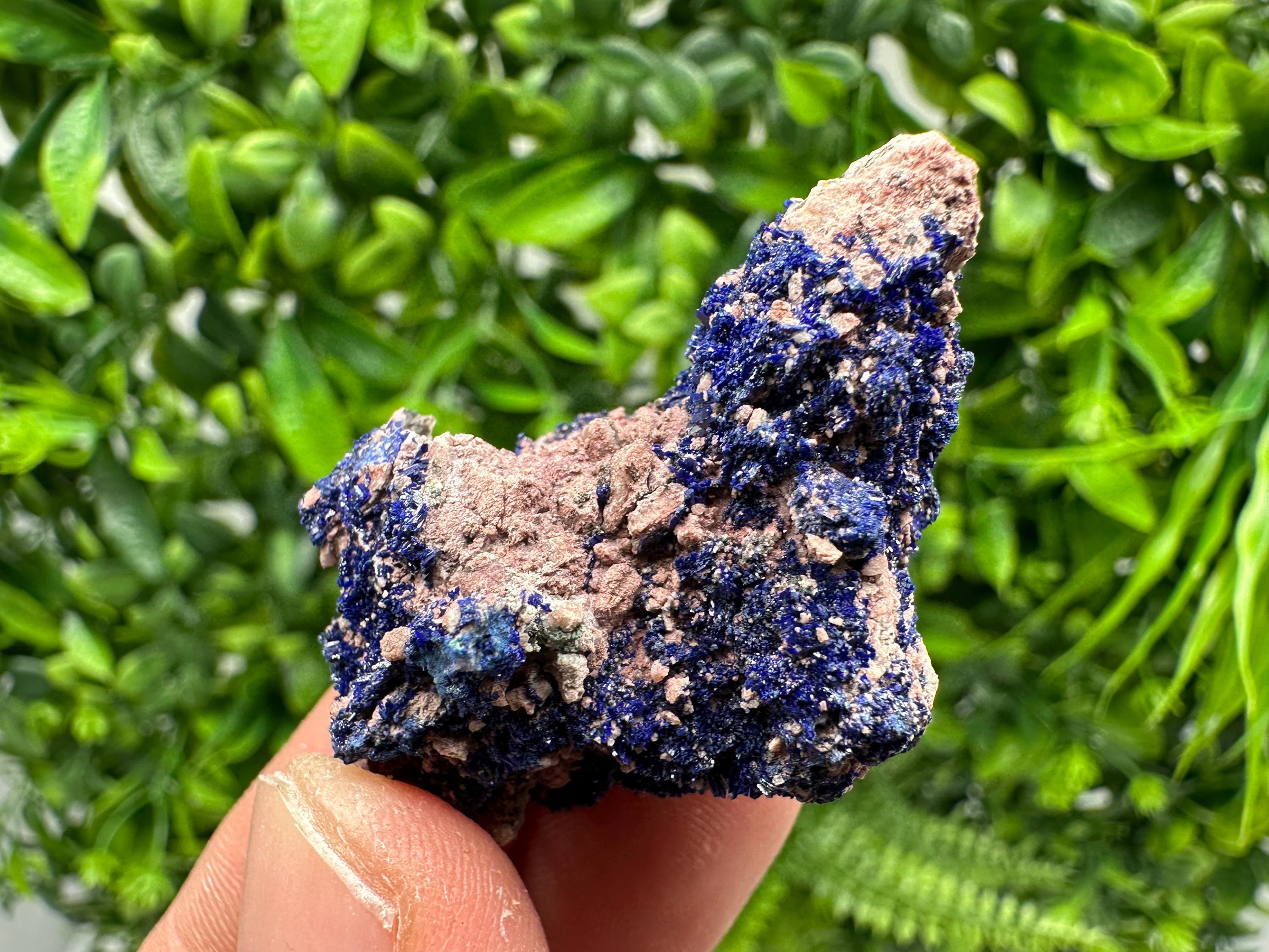 Crystallized Azurite-Kerrouchen,Morocco-Blue Azurite Specimen-High Quality Blue Azurite-Azurite Mineral Specimen, gemmy,lustrous of Azurite