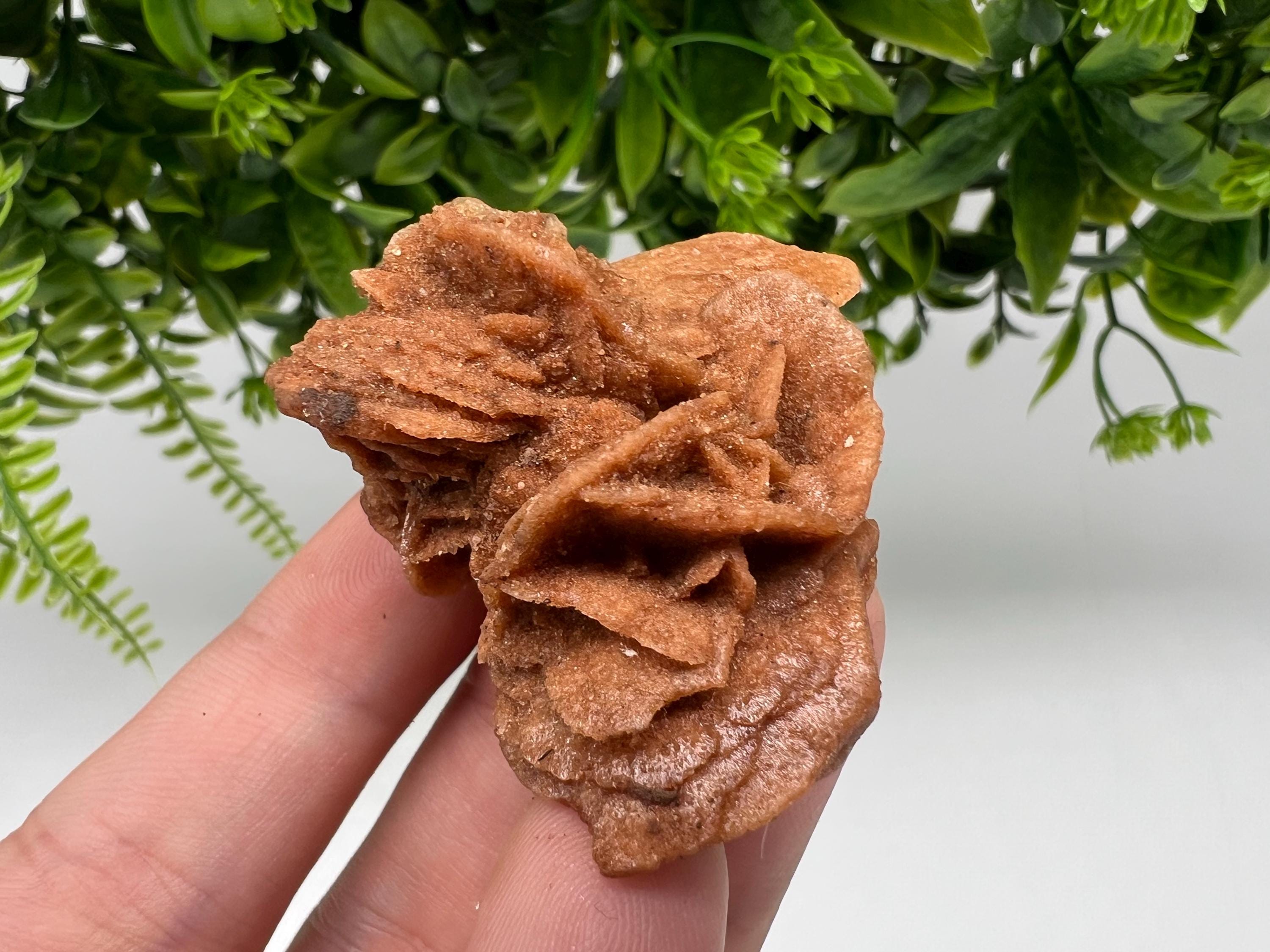 Desert Rose Selenite Crystal: Root Chakra Healing Stone, Home Decor