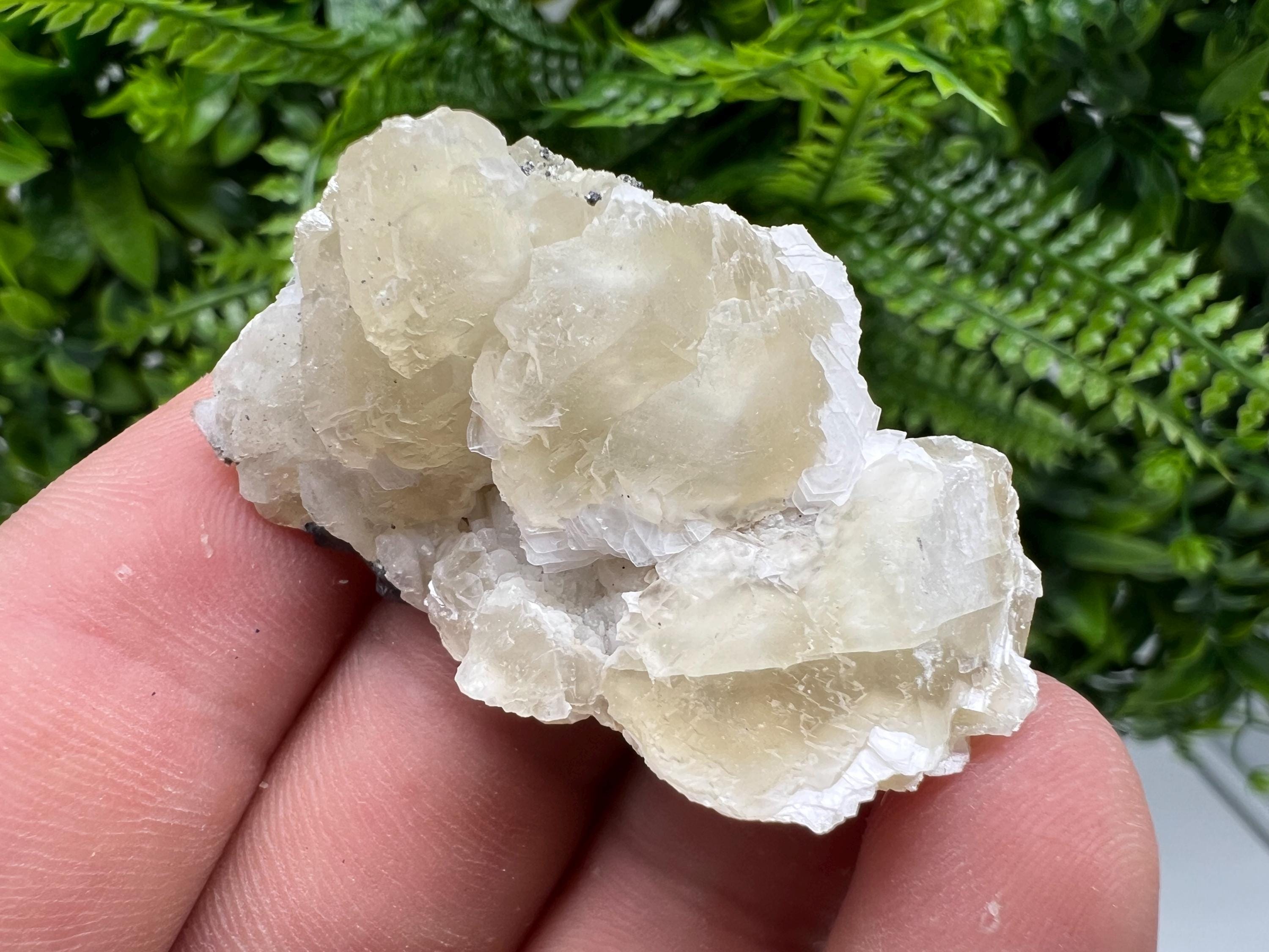 Calcite on Galena Specimen: Borieva Mine, Bulgaria