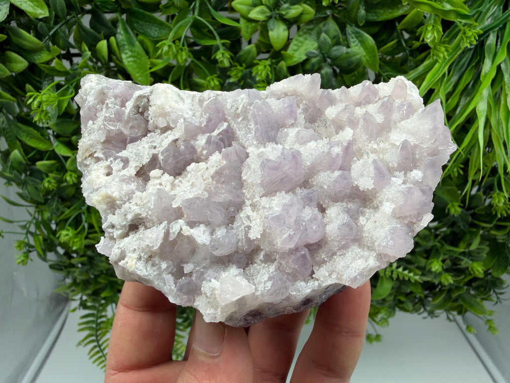 Chala Mine Amethyst Phantom Cluster, Bulgaria Crystal Specimen