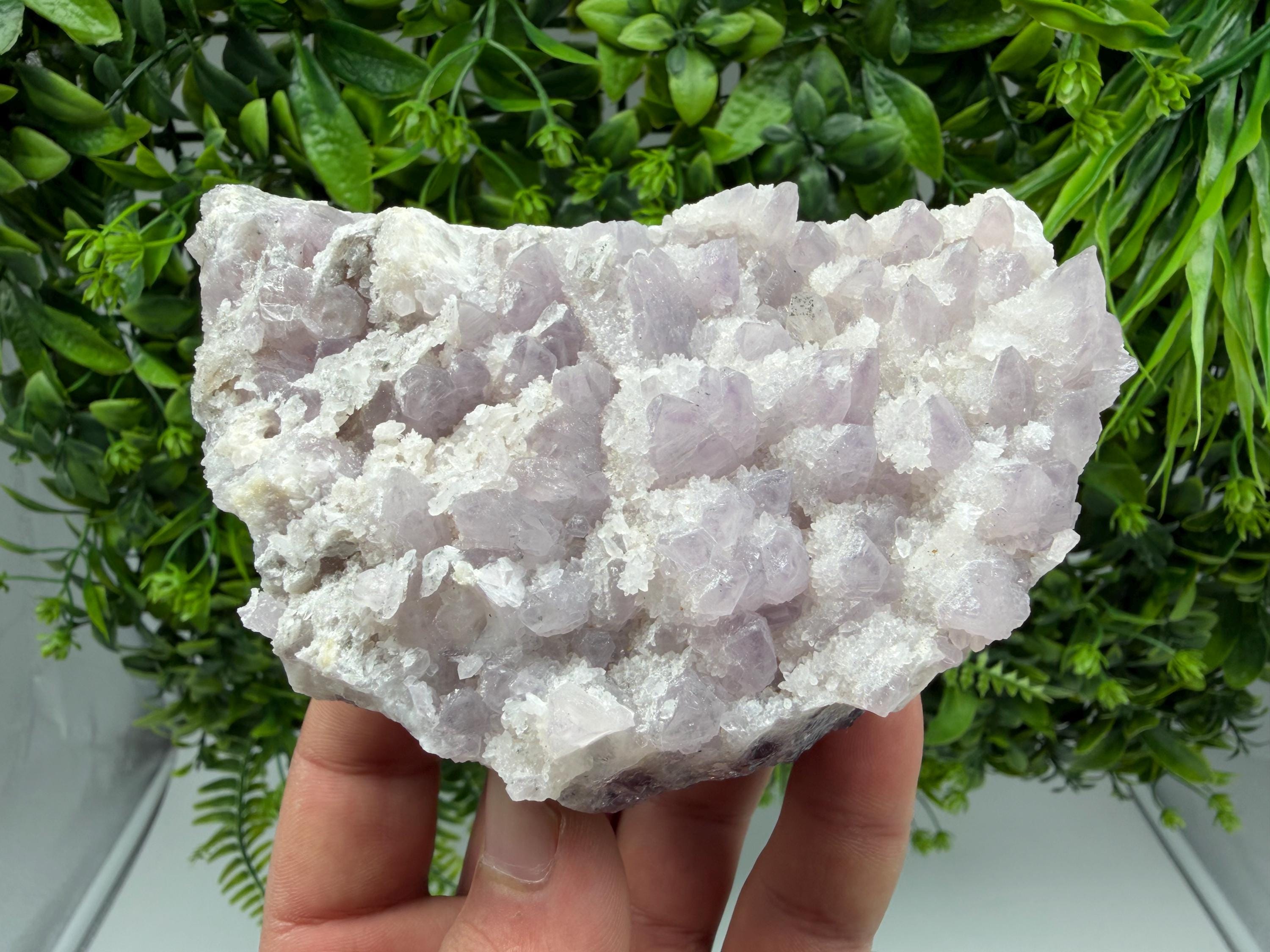 Chala Mine Amethyst Phantom Cluster, Bulgaria Crystal Specimen