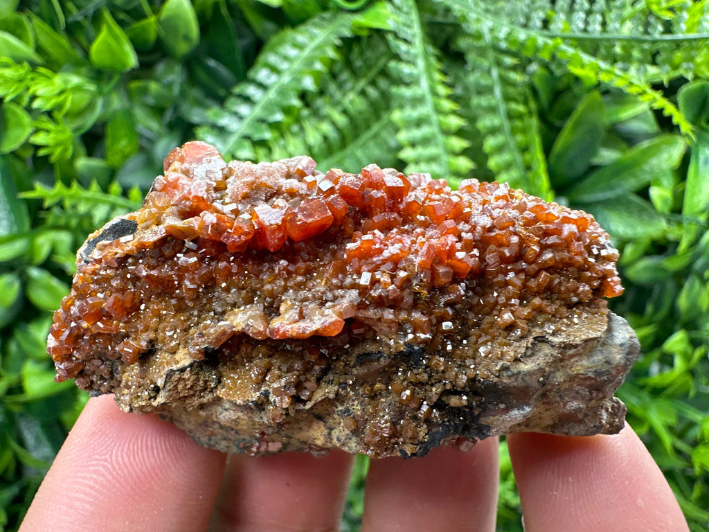 Red Vanadinite Crystal Cluster on Matrix, Morocco Mineral Specimen