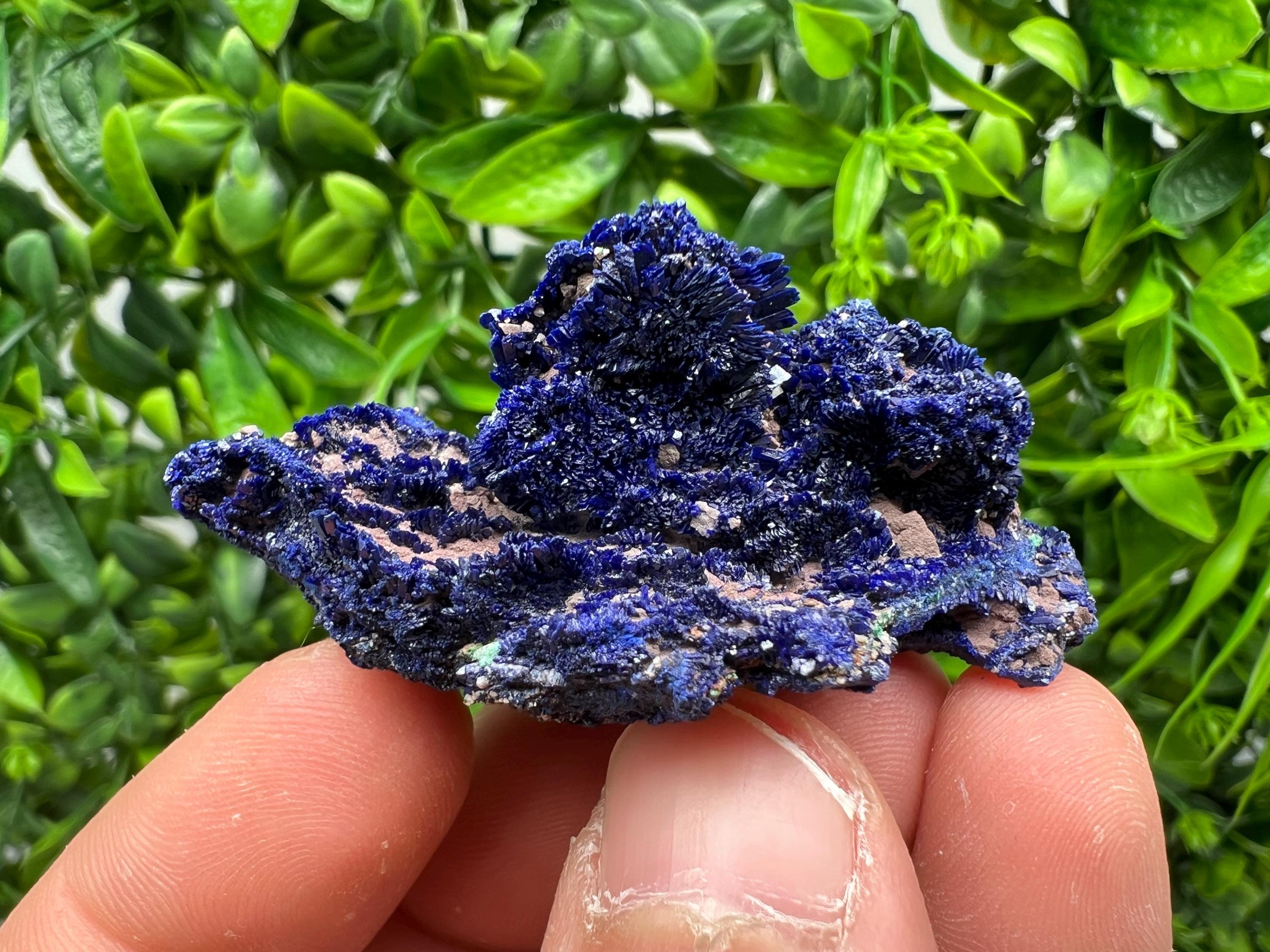 Crystallized Azurite-Kerrouchen,Morocco-Blue Azurite Specimen-High Quality Blue Azurite-Azurite Mineral Specimen, gemmy,lustrous of Azurite
