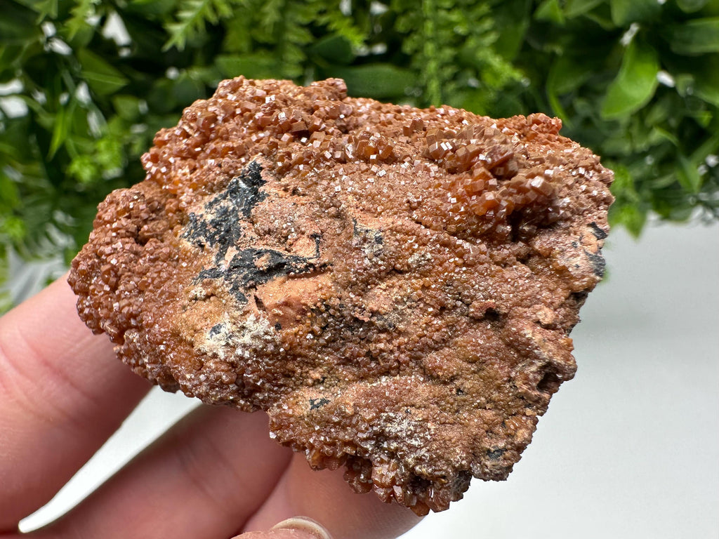 Red Vanadinite on Matrix from Marocco,crystal minerals Speciment cluster Vanadinite crystal Vanadinite Geology Vanadinite cluster minerals