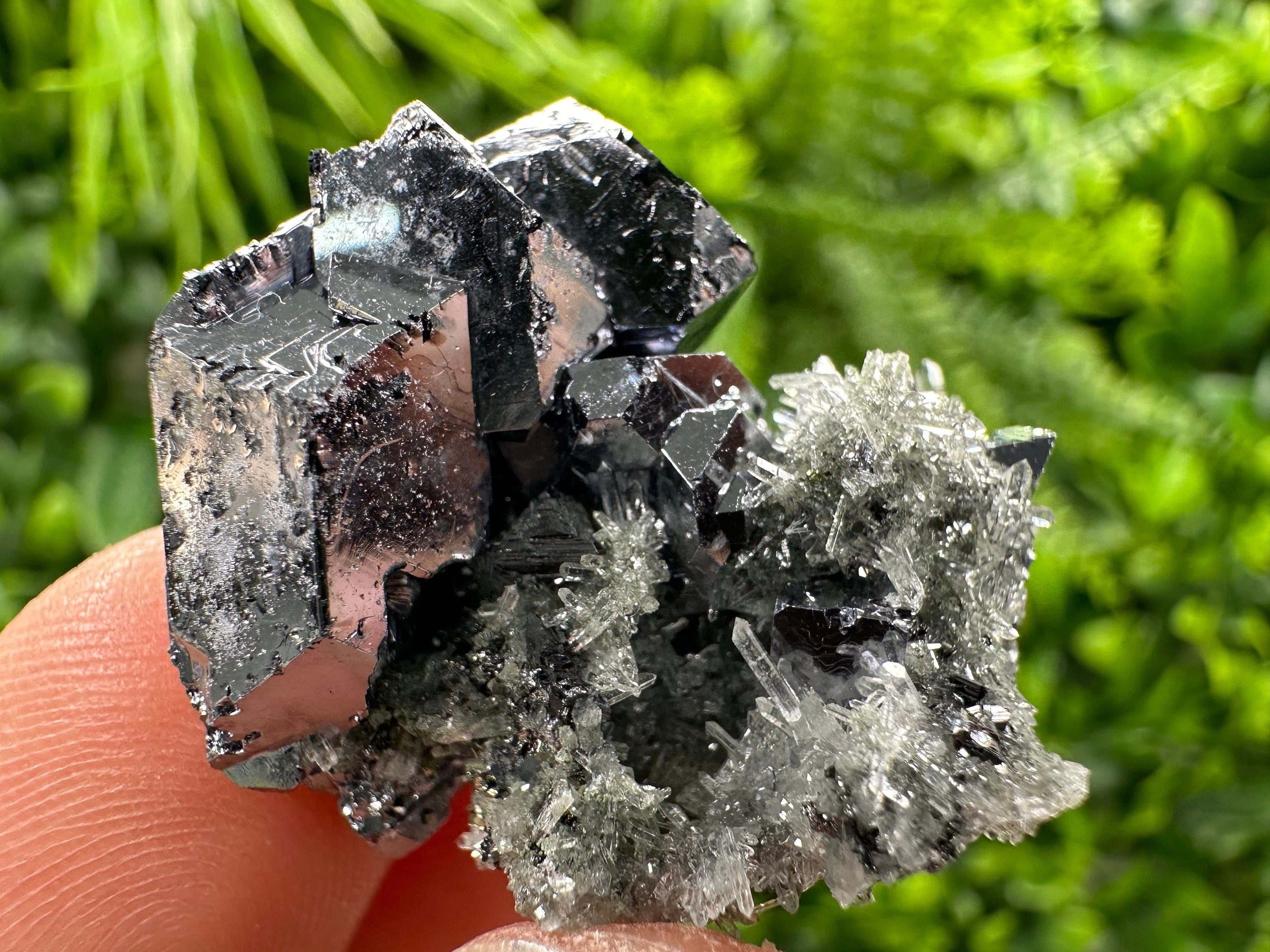 Galena on Needle Quartz, Borieva Mine Crystal