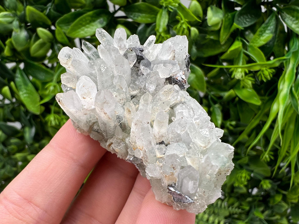 Wonderful Transparent Quartz on Chlorite Matrix,From Borieva mine,Madan,Bulgaria,Quartz,Quartz crystal,mineral specimen,collection quartz