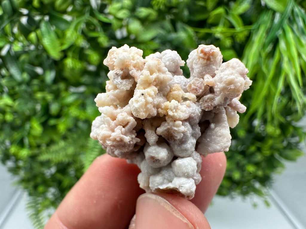 Bulgarian Aragonite Crystal Specimen: Natural Mineral Decor