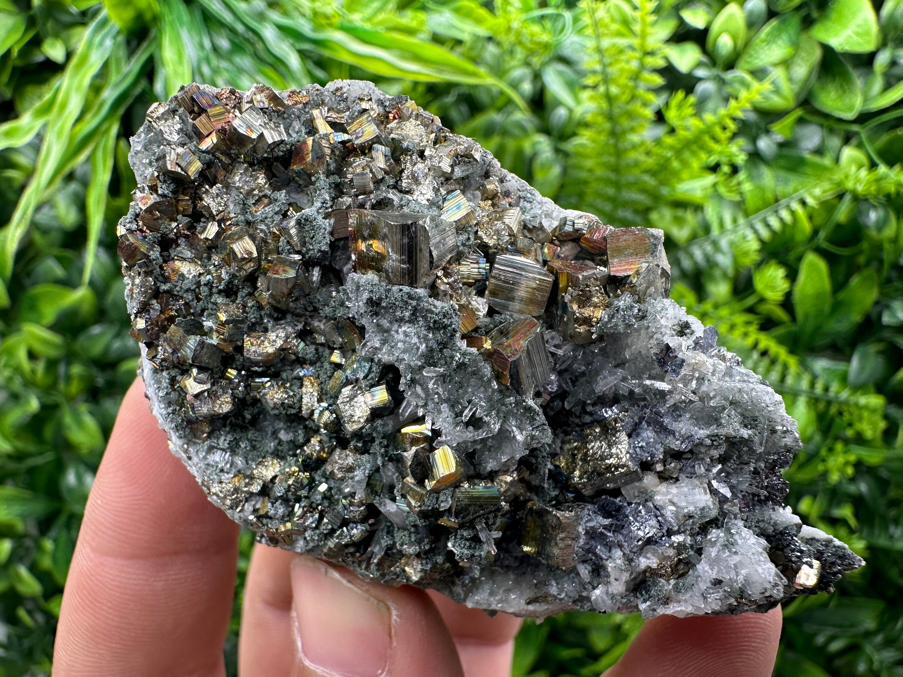 Pyrite on Green Quartz, Borieva Mine Bulgaria, Mineral Specimen