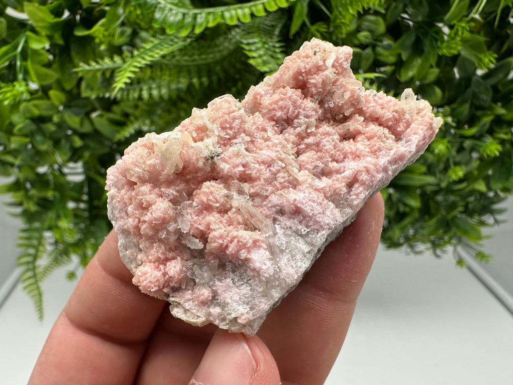 One beautiful cabinet size specimen of rhodochrosite, overgrowth by well-terminated quartz crystals Starnica mine Davidcovo area Bulgaria