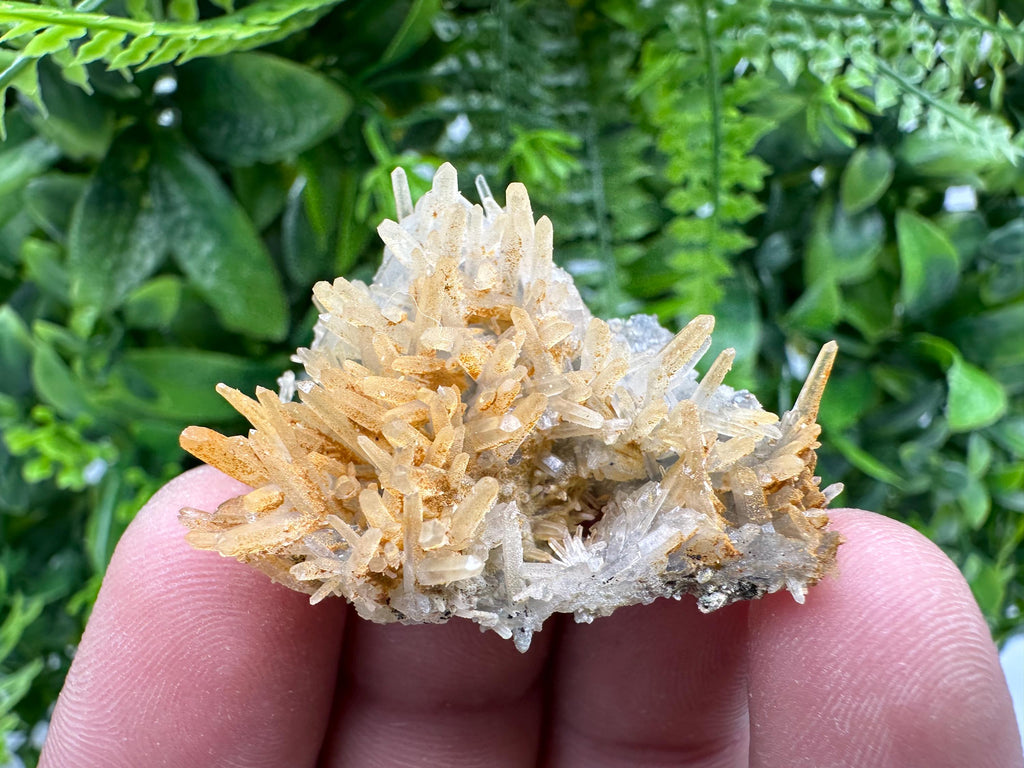 Limonite Coated Quartz Crystal Cluster, Natural Mineral Specimen