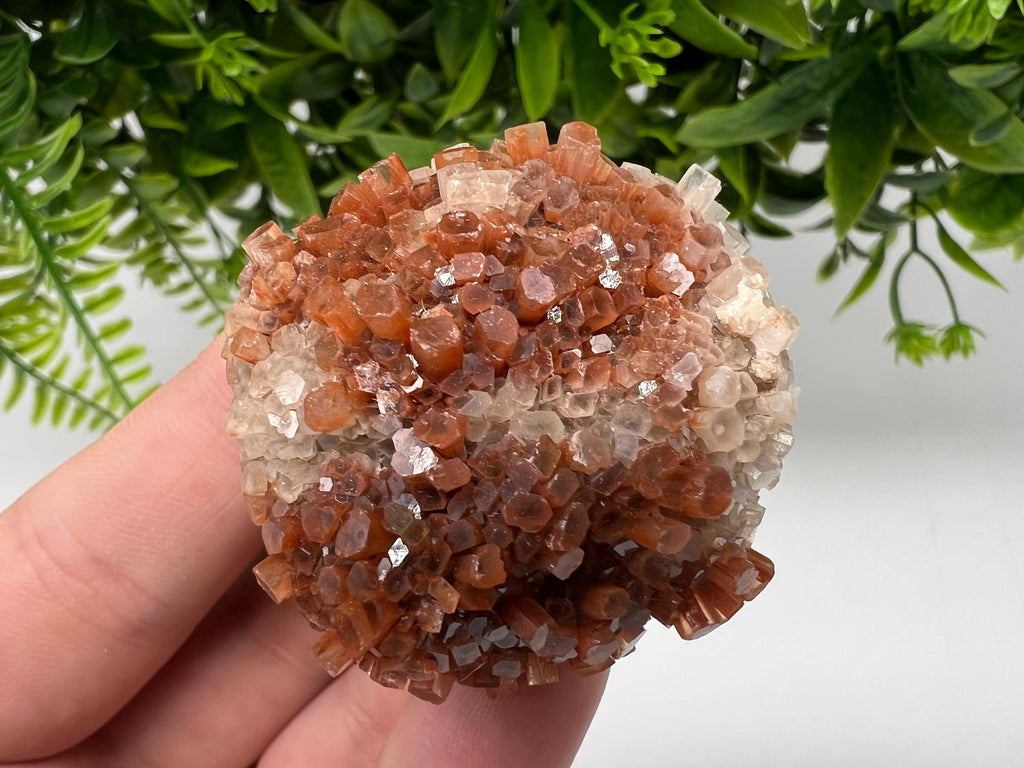 Extra Large Aragonite Sputnik Cluster: Moroccan Raw Crystal Stone