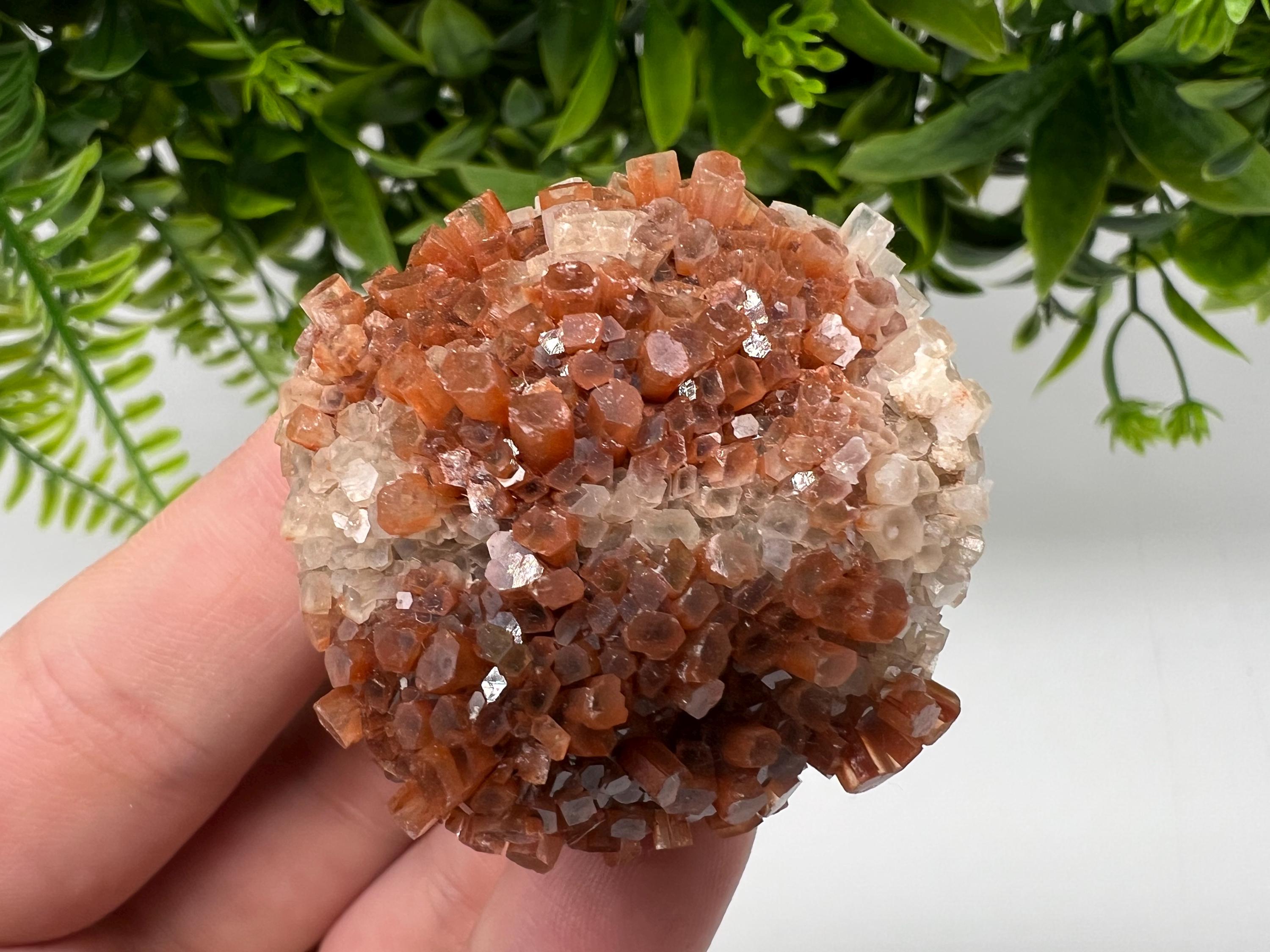 Extra Large Aragonite Sputnik Cluster: Moroccan Raw Crystal Stone